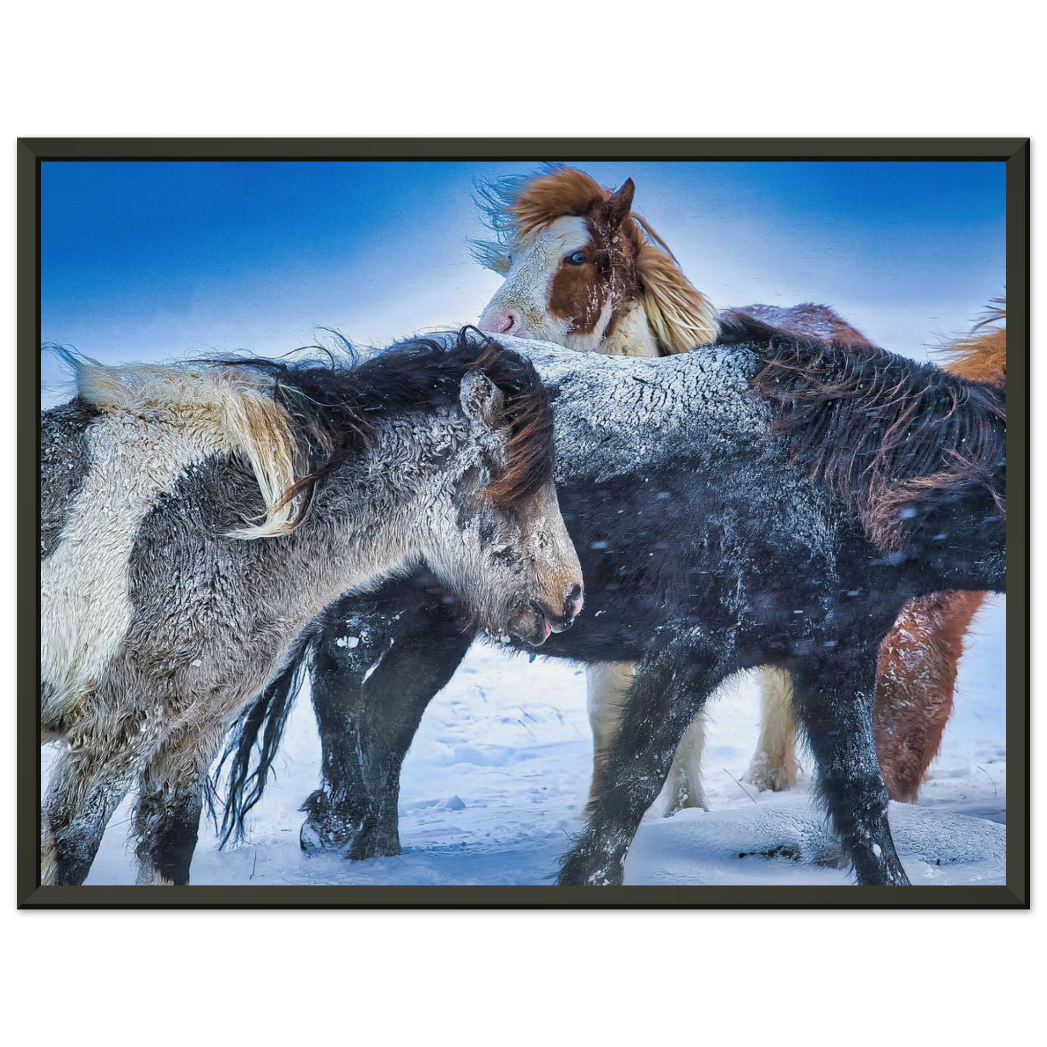 77cfee3f-1a51-4702-b9d6-6a9c37d17089