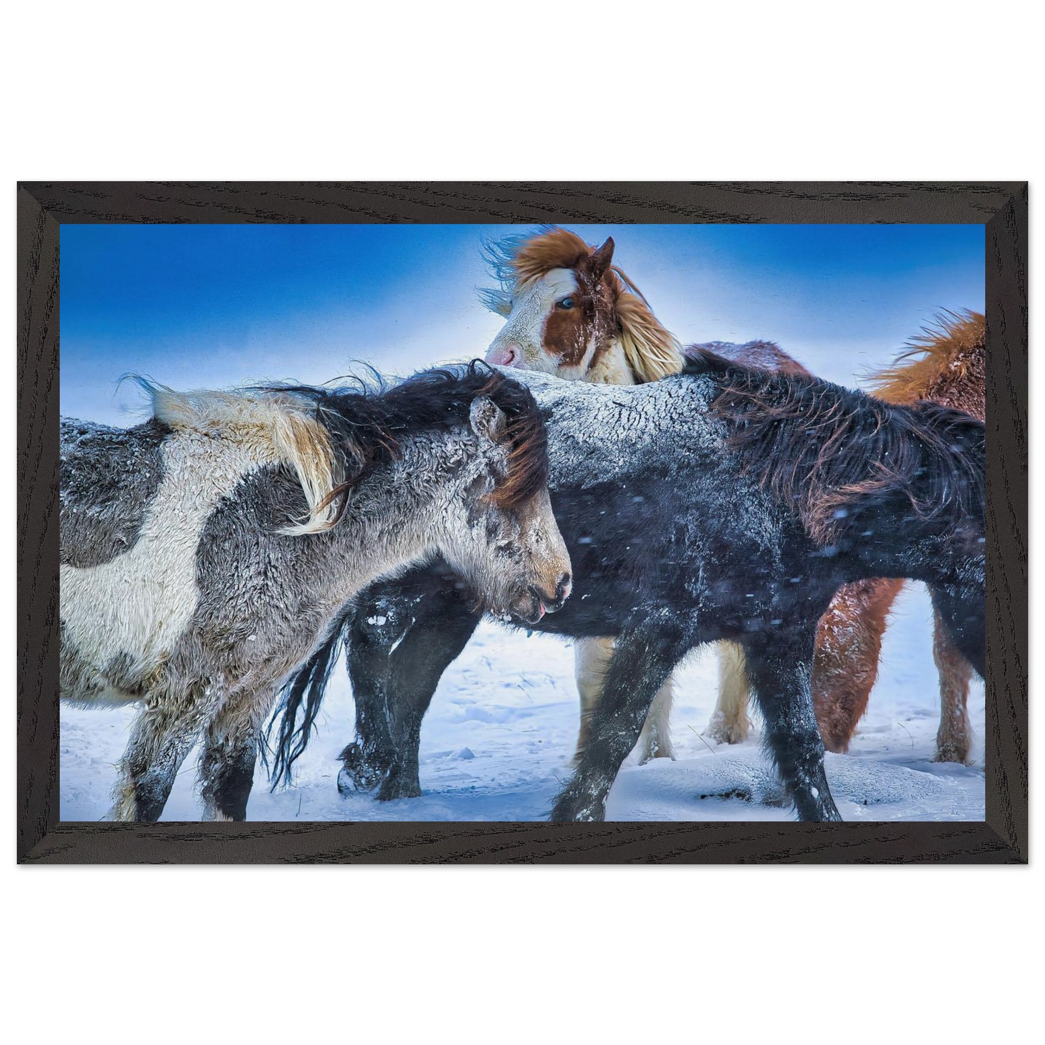 792c1752-48be-43ac-8bd1-9fcf442300af