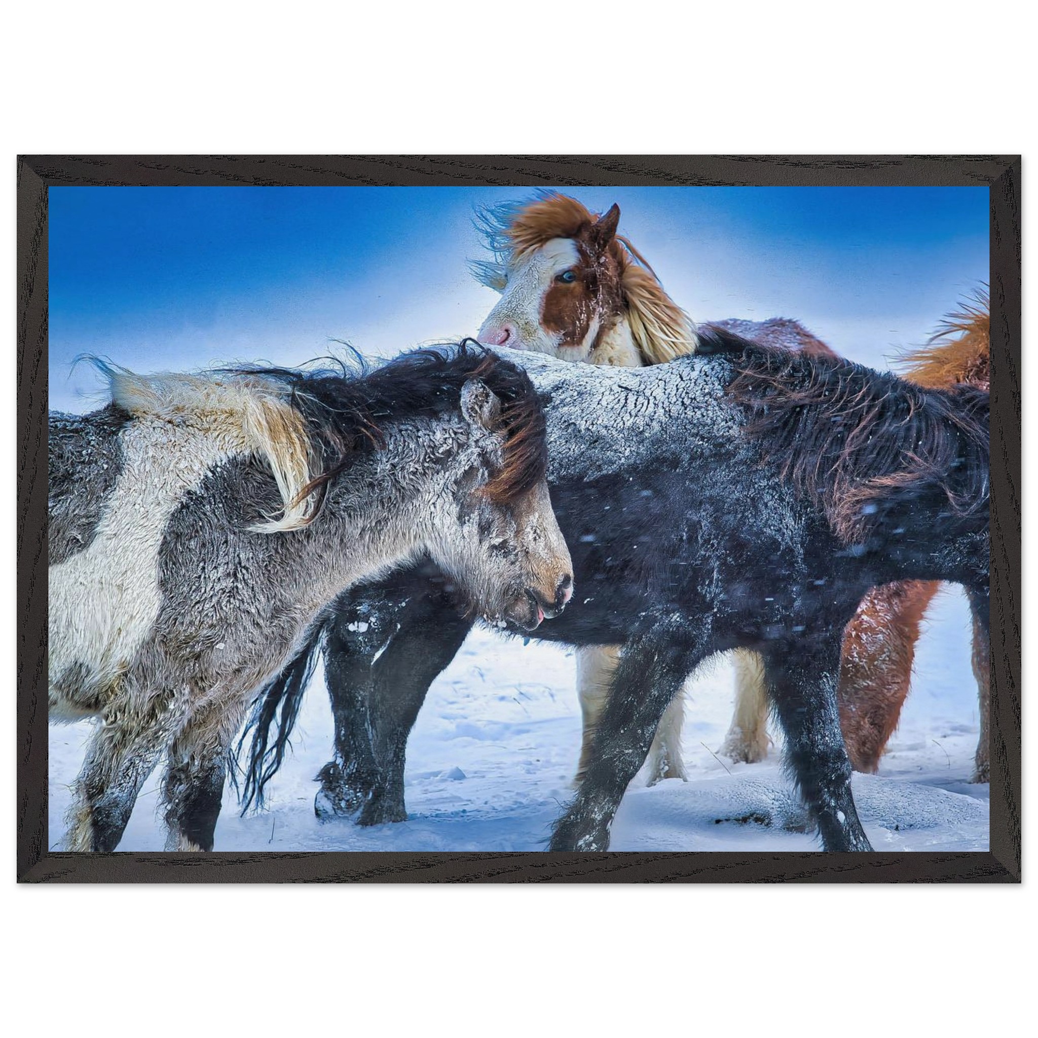 79e9cd0f-634e-41ab-9b42-1d456a6066a5