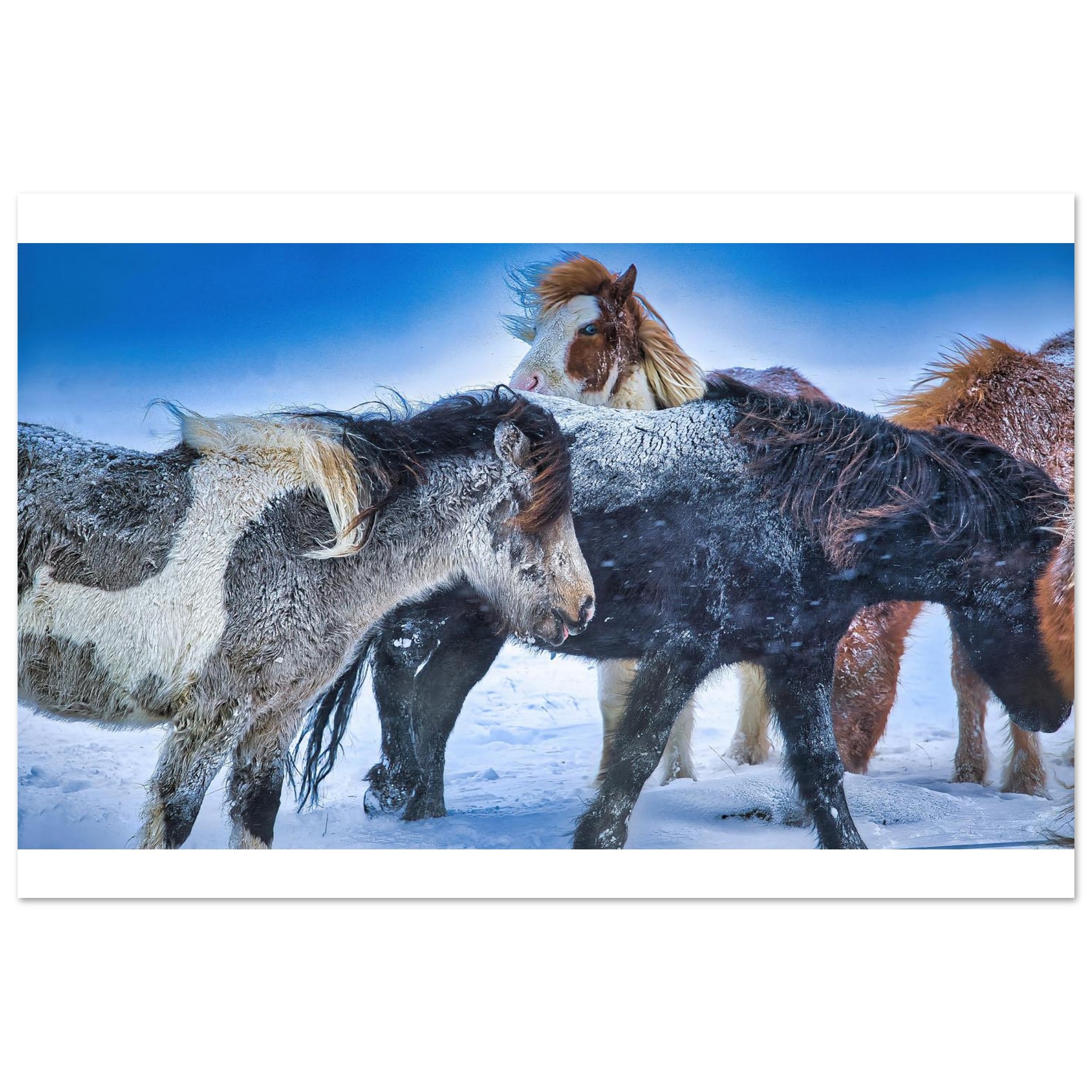 7eccbb7d-6b0b-48c7-97fd-e9295619bb14