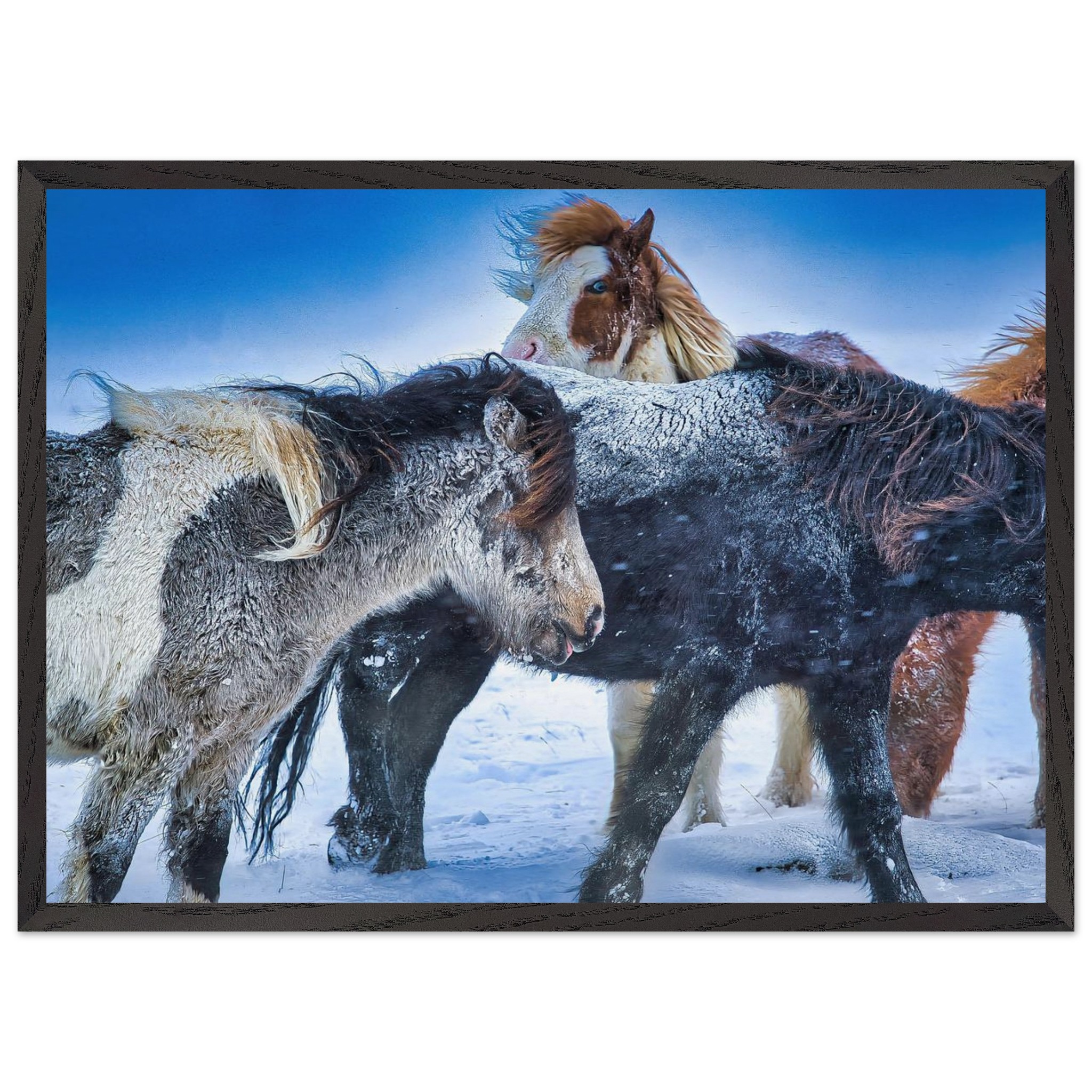 7fff8edf-1024-4e03-96de-a53250859771