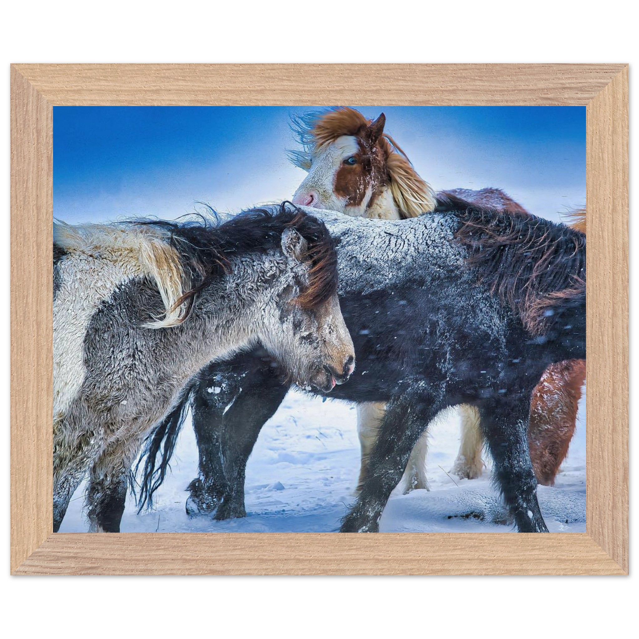 80420c06-bcd9-474b-b8c9-3de6ef3cf94e