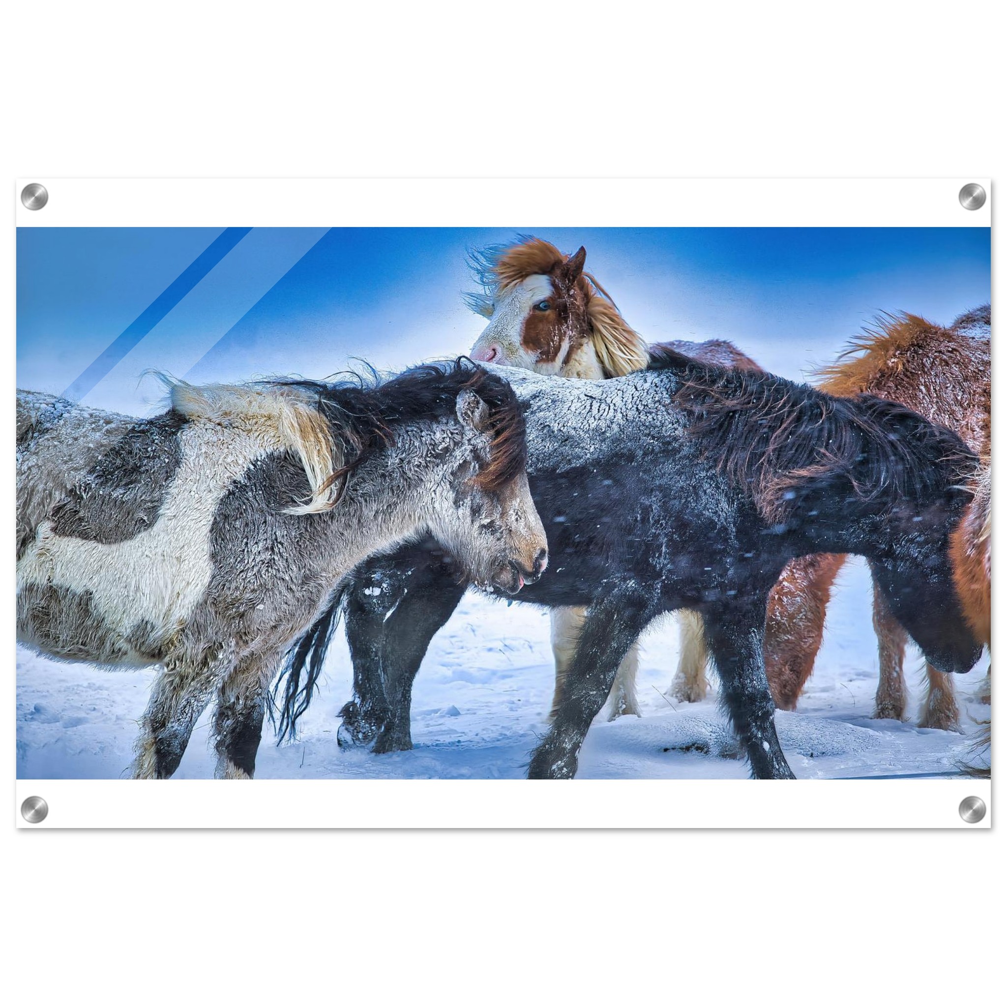 81b3b957-c831-47fc-bd7b-a663b14517ef