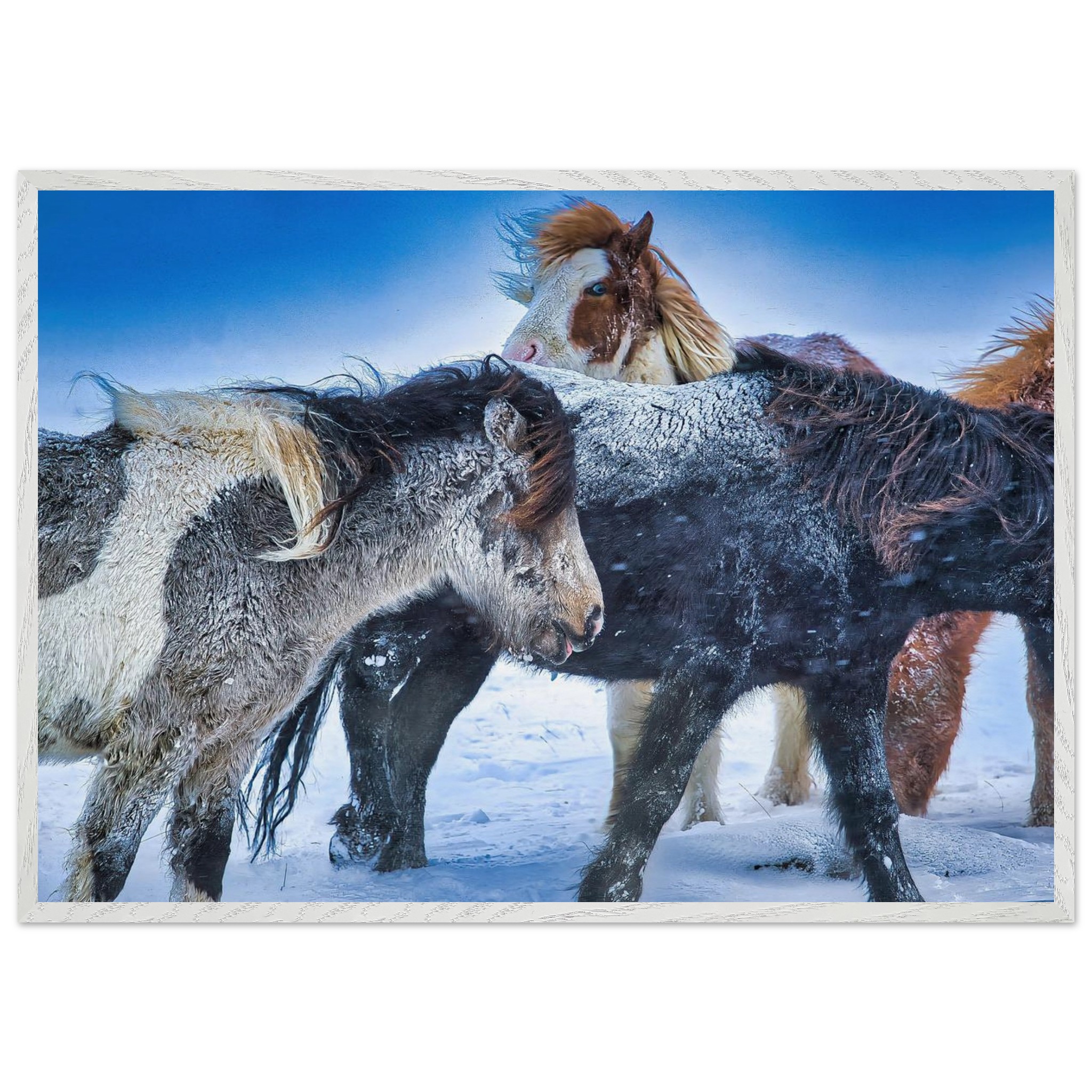 81b45c83-7521-46ee-b83f-c11f02604956