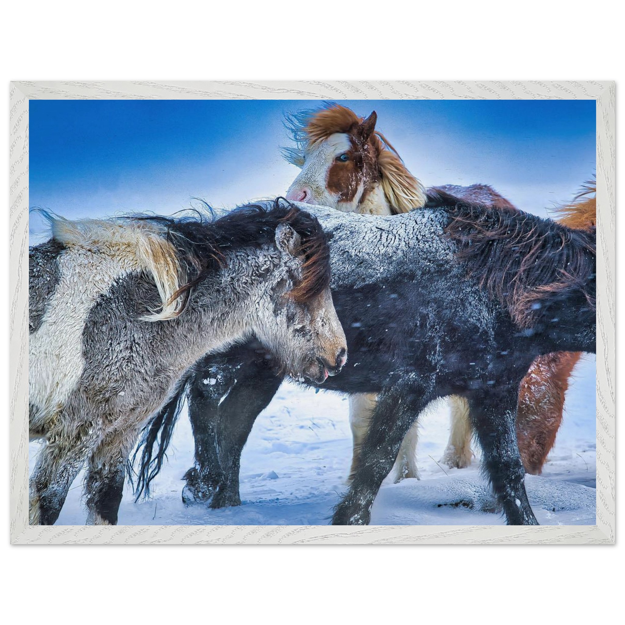 82150679-08aa-41bb-bdc9-cafe7abcae6c