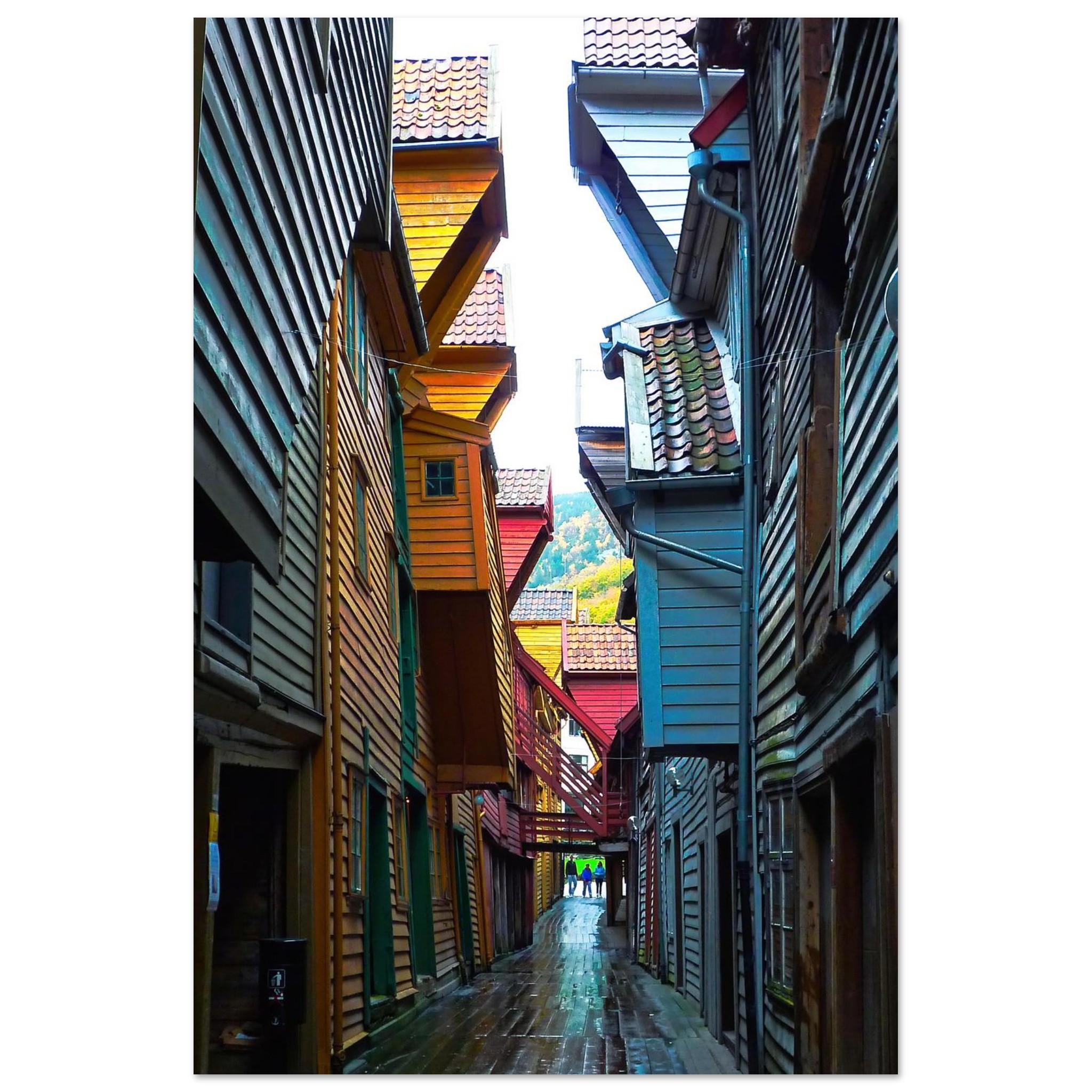 86e7006d-8de0-4600-8f8a-2cac395dcc94