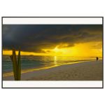 892b977d-2b22-41b0-a8d9-e5c53e6ab111