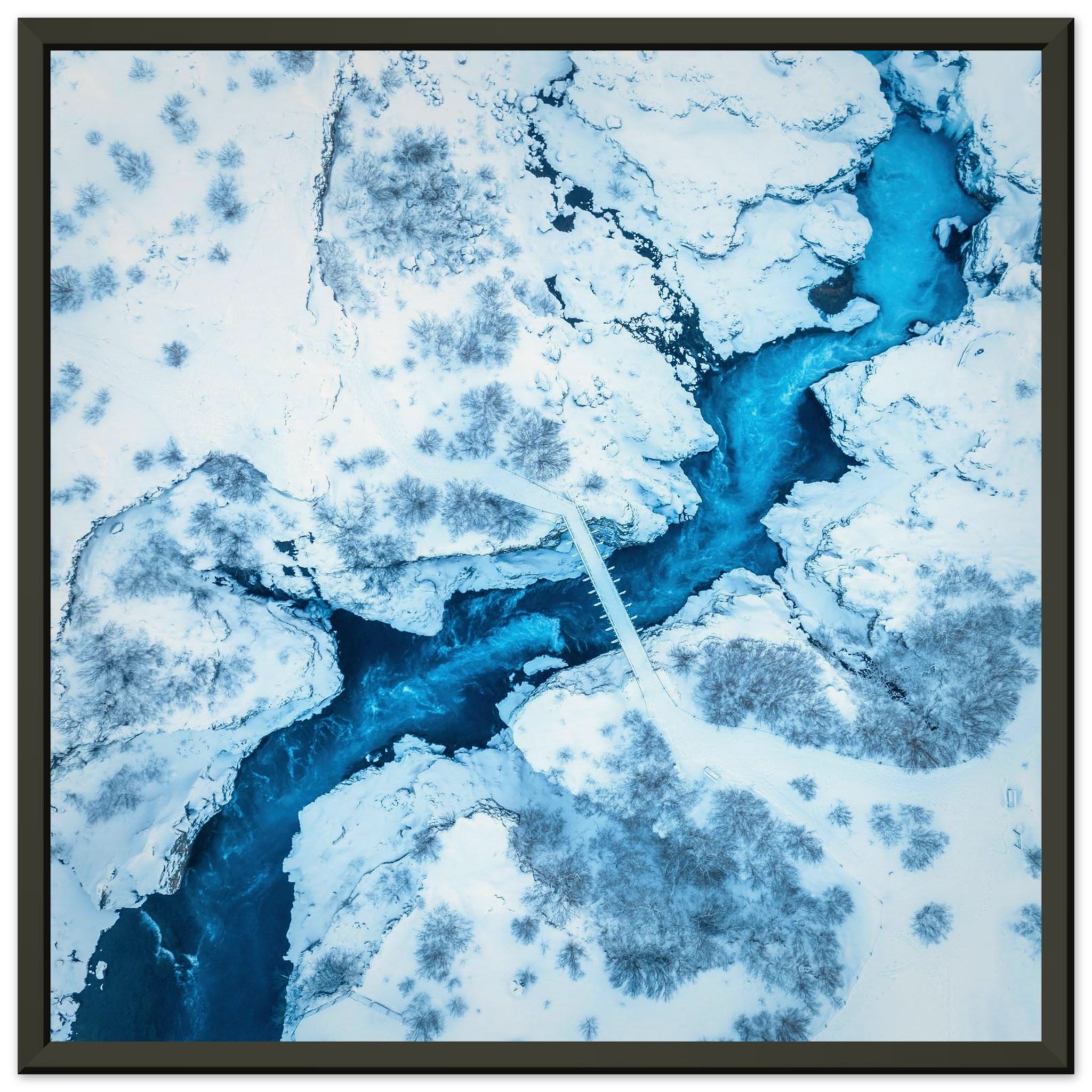 8a7ccb55-69e6-444e-8801-a79d67cf9239