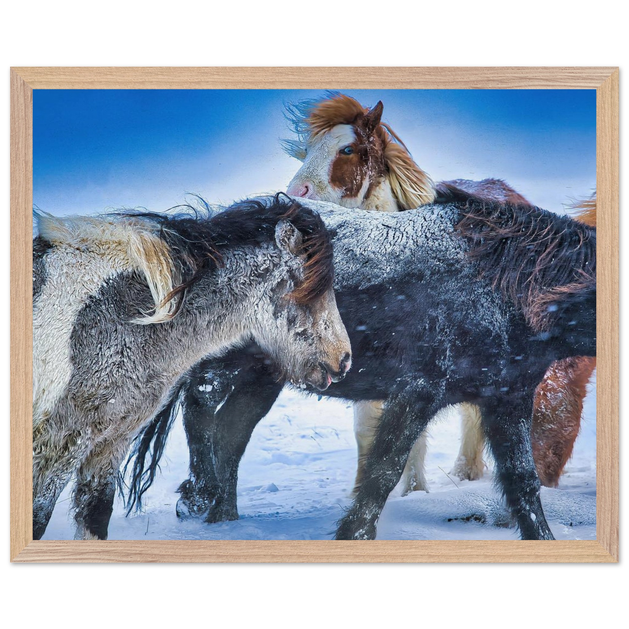 8b558361-09f3-47bb-b493-9aecf20f63ea