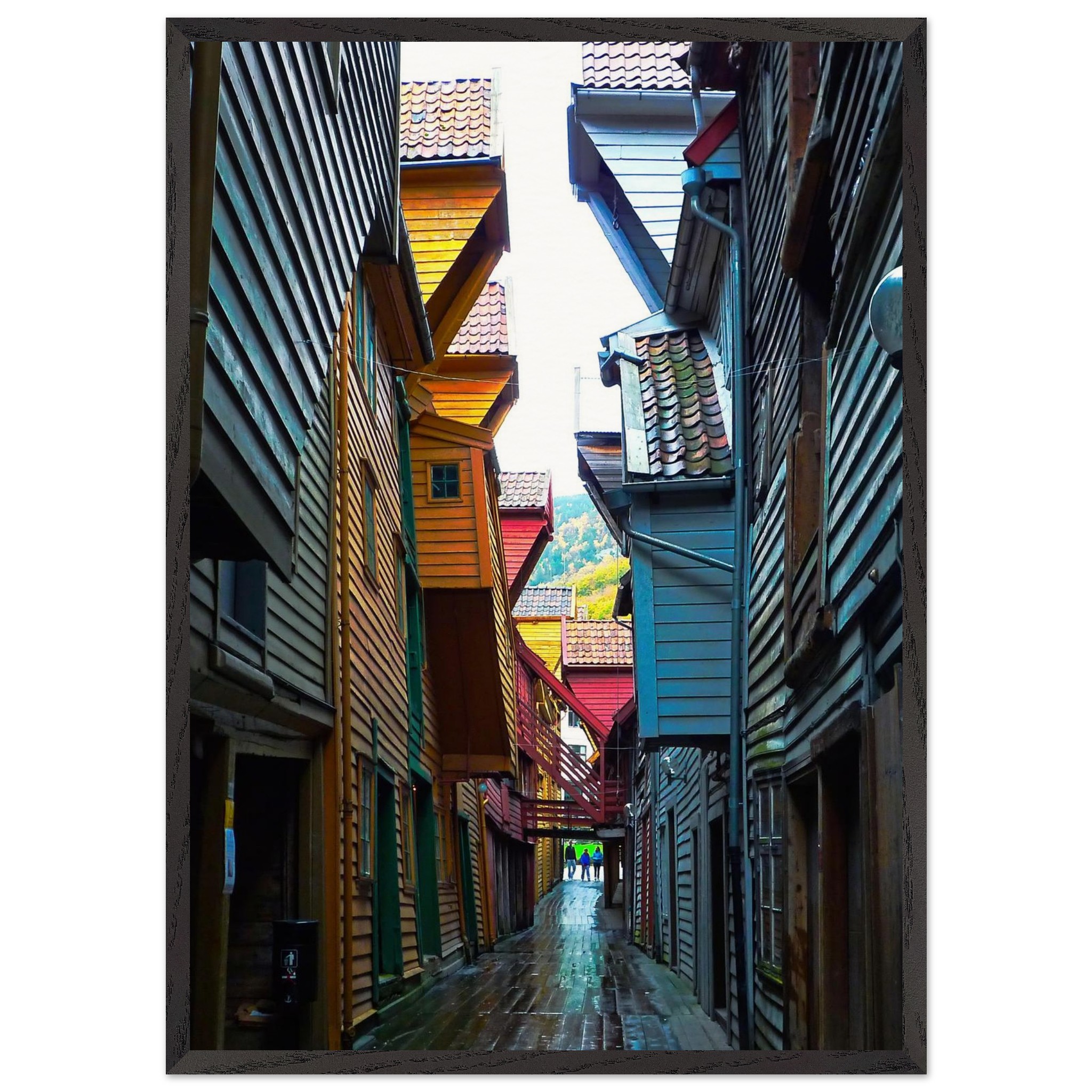 8d6a52d7-6ece-4a3f-bafe-0179c9956c50