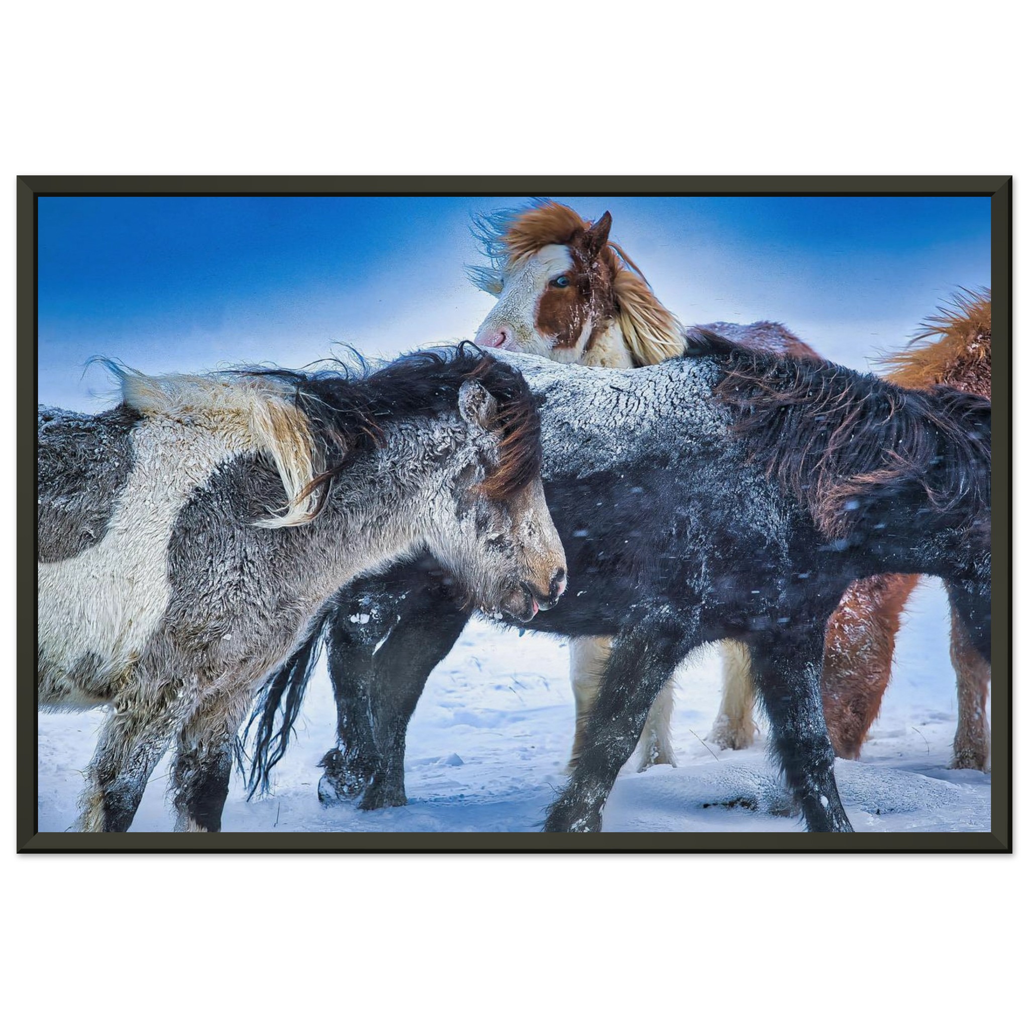 8d79979c-6ea7-4a80-b5d0-7258b20b24e8