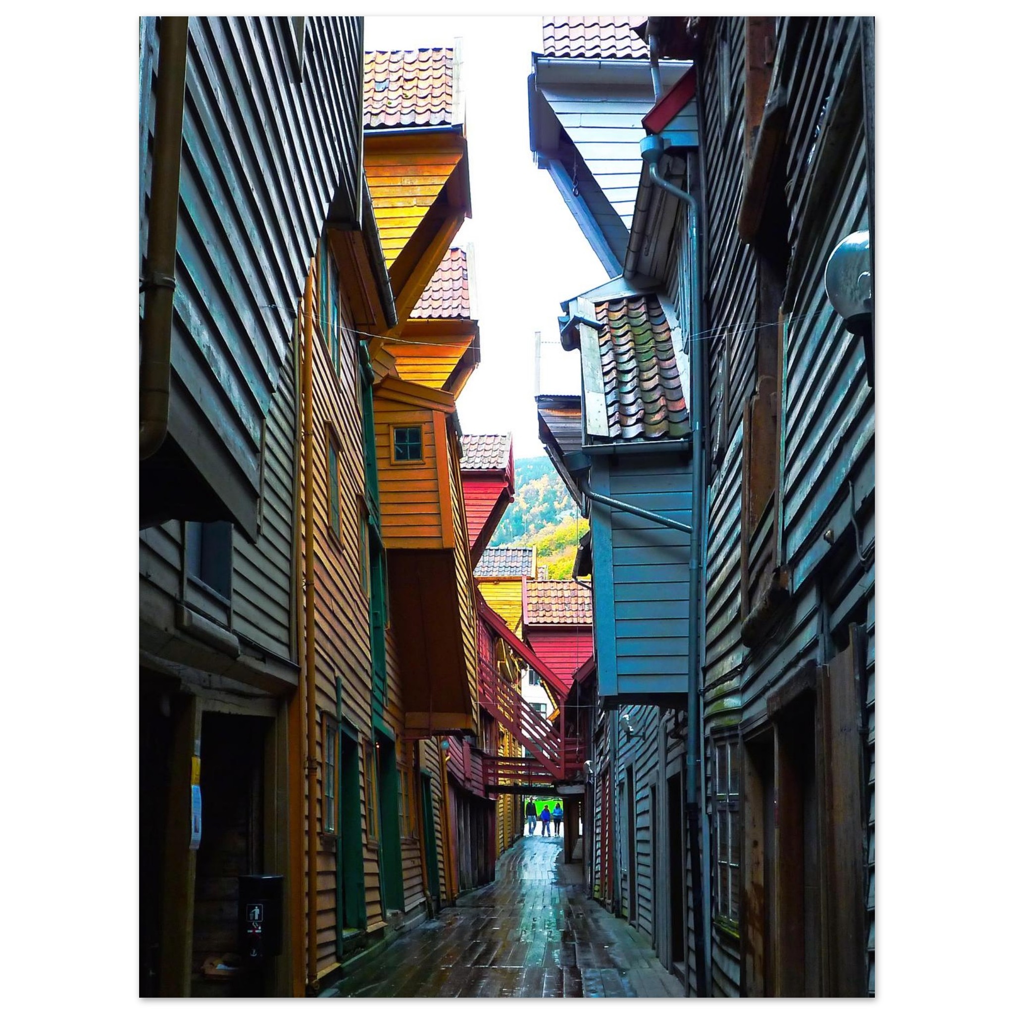 8df9133c-1a5d-47e6-bc71-ad2a1be25f5c