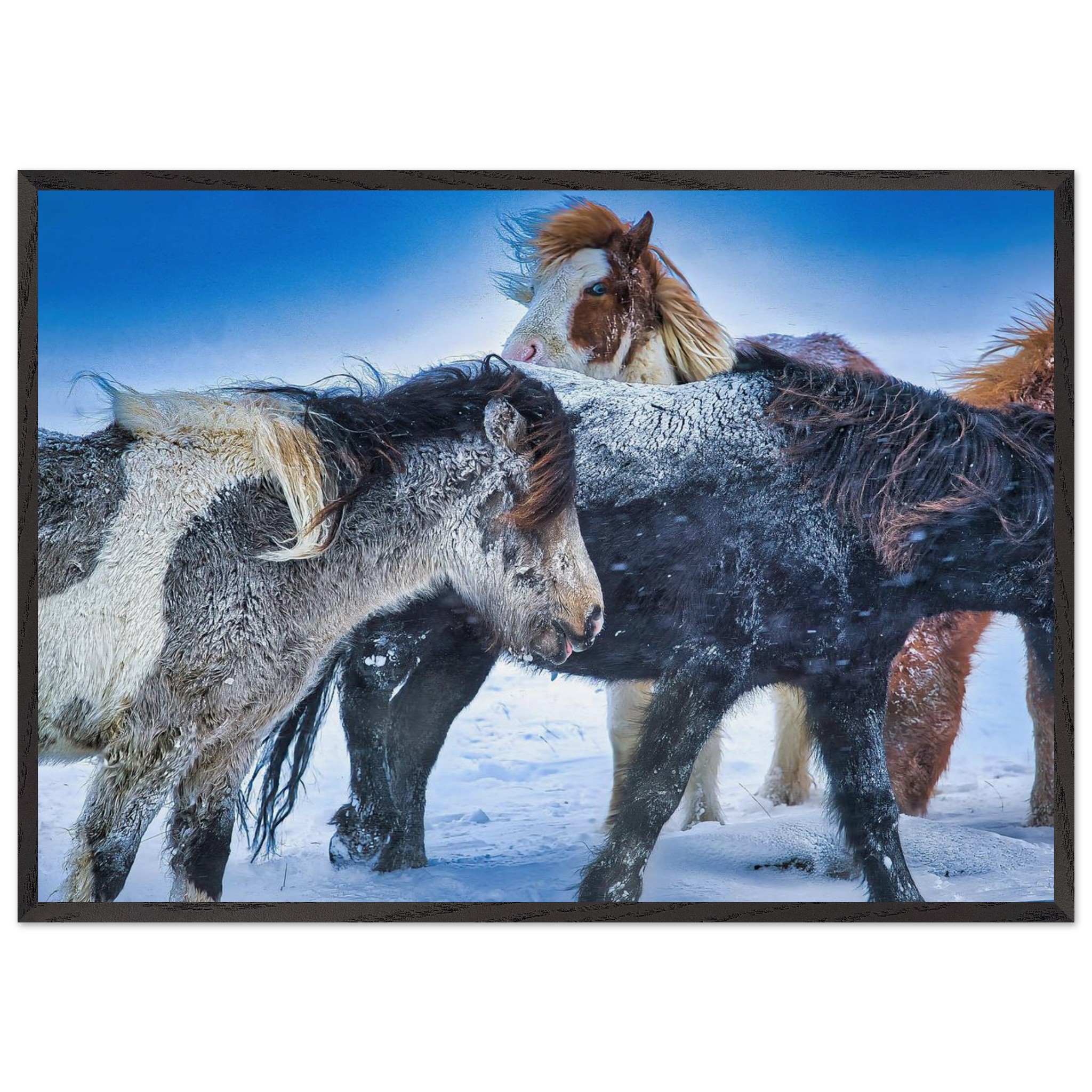 8fa45f1b-7410-4e7e-8fd9-18eb20aab9f6