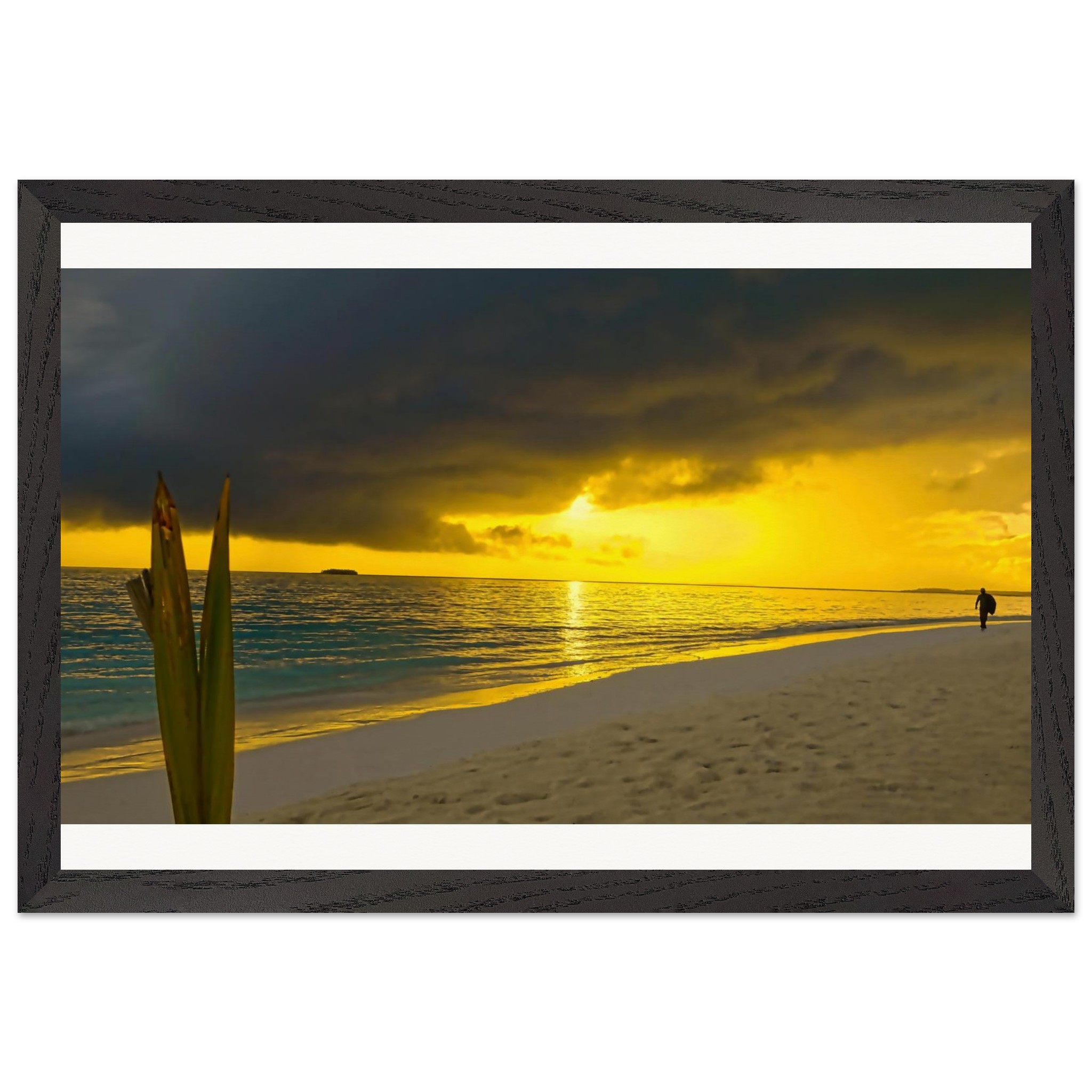 977a5d8c-35dd-4c09-bba8-466935fc868f