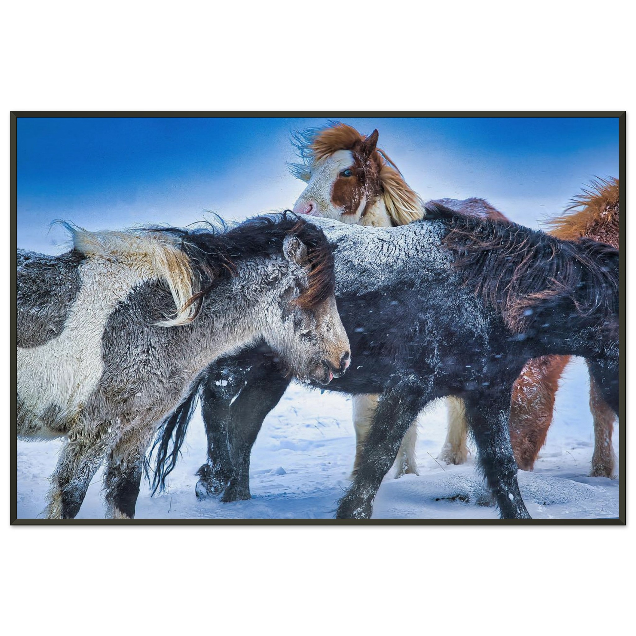 9a937502-f4ce-4a25-a70e-6998ad4c2d0d