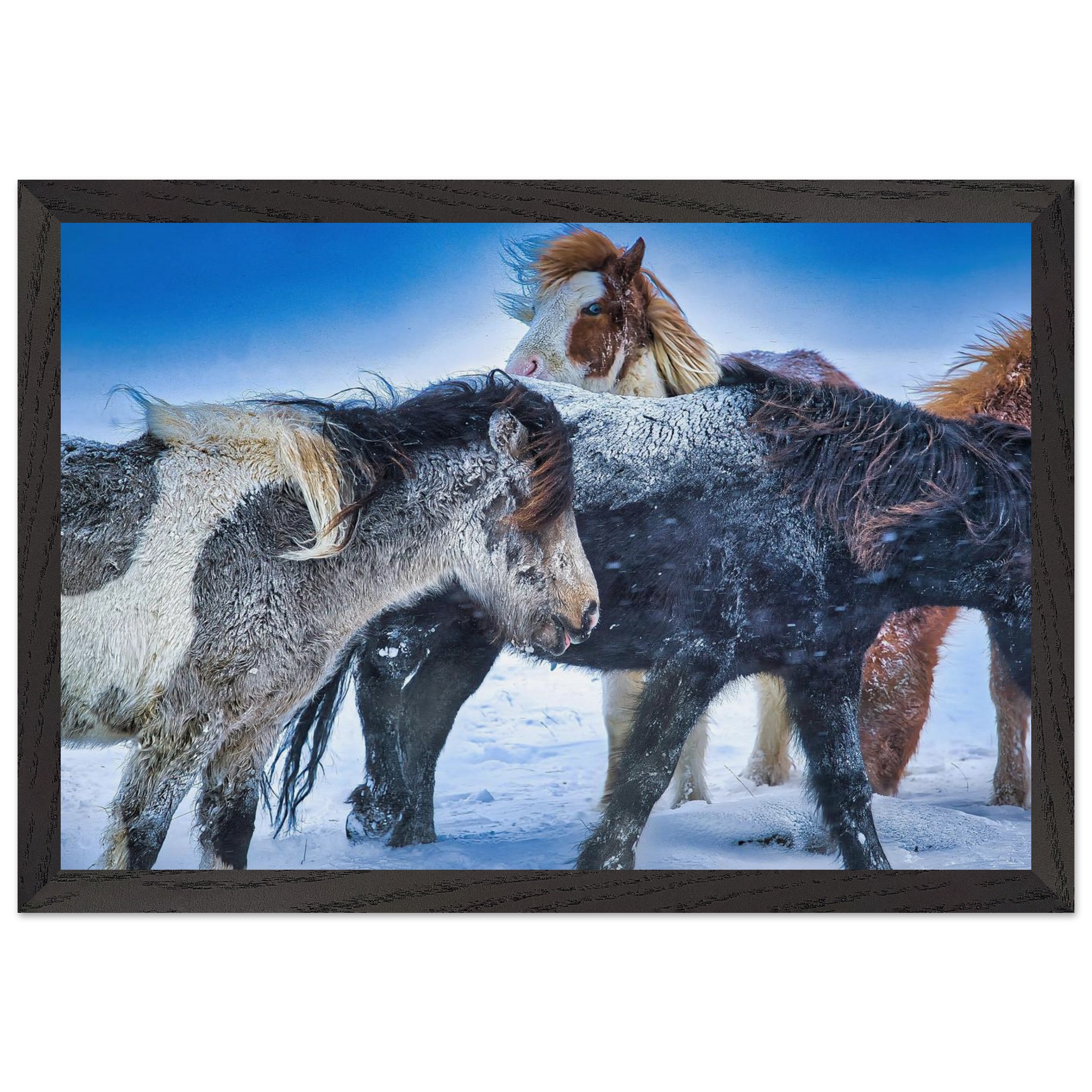 9bd0deee-7644-4901-9be4-c90da68b810f