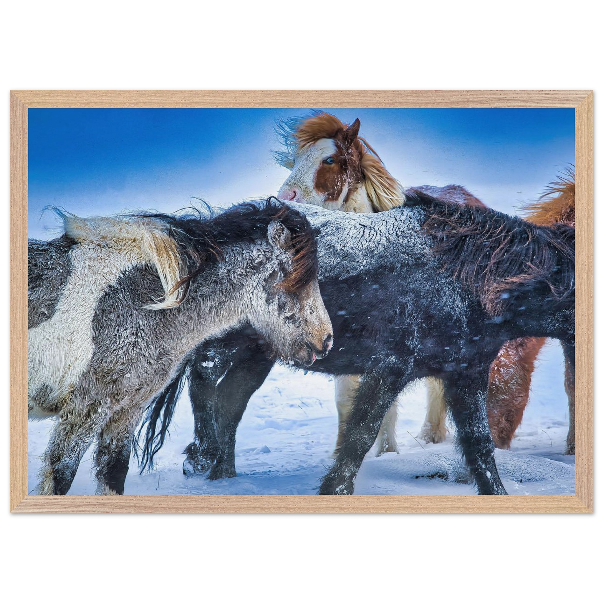 9cace81b-c0be-4139-8bb2-c689de850372