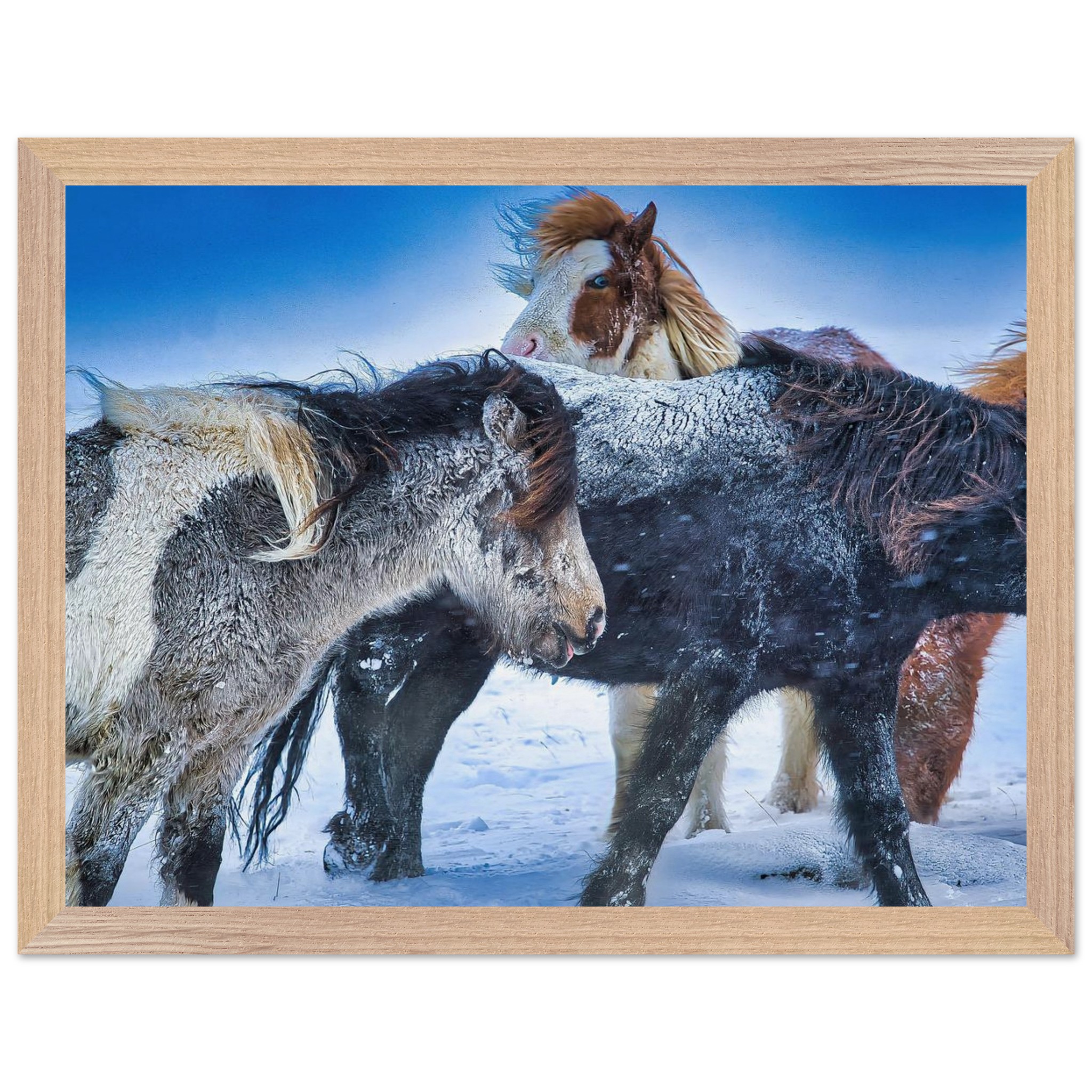 a005bd48-934c-44e8-b7f3-1dc08e05b959