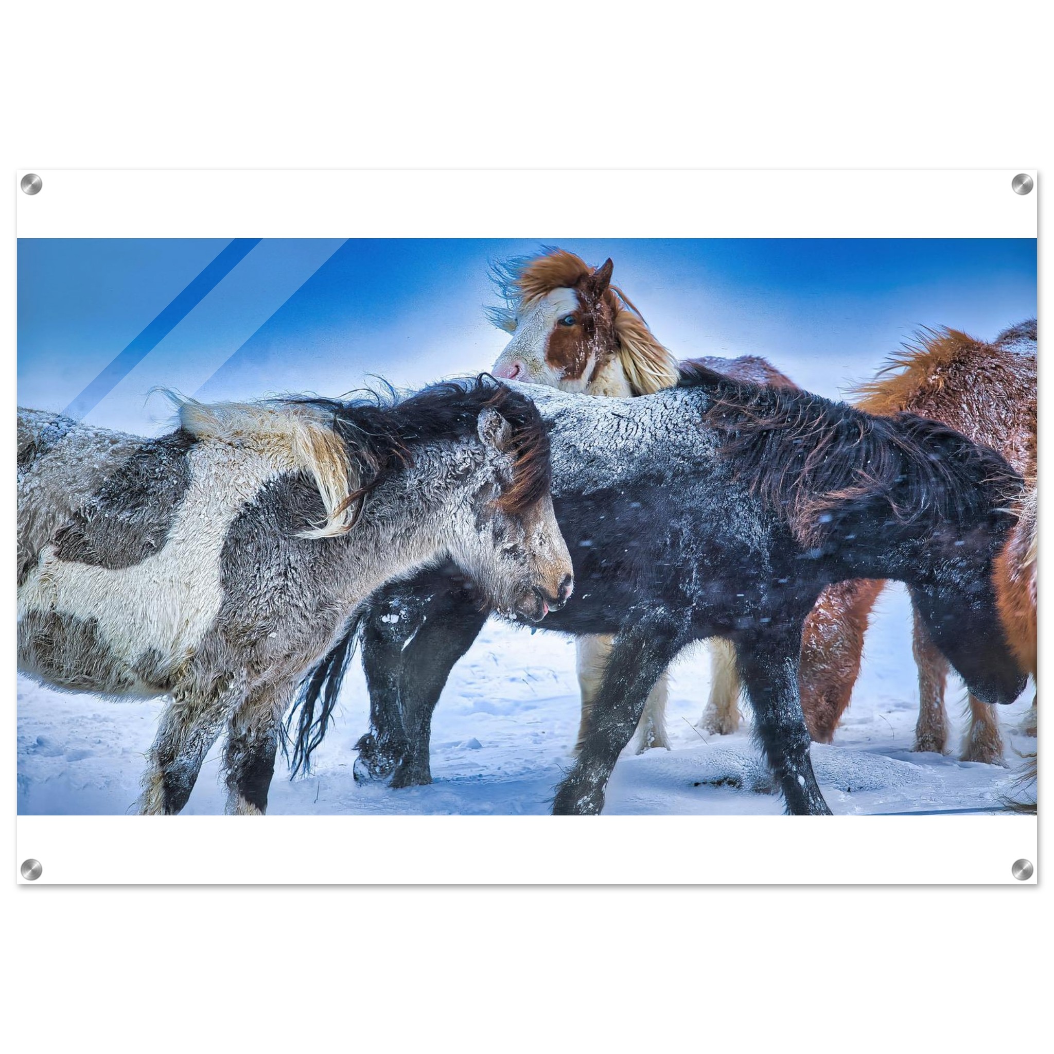 a2225dff-af43-4dd7-94d9-129f4f44cff4