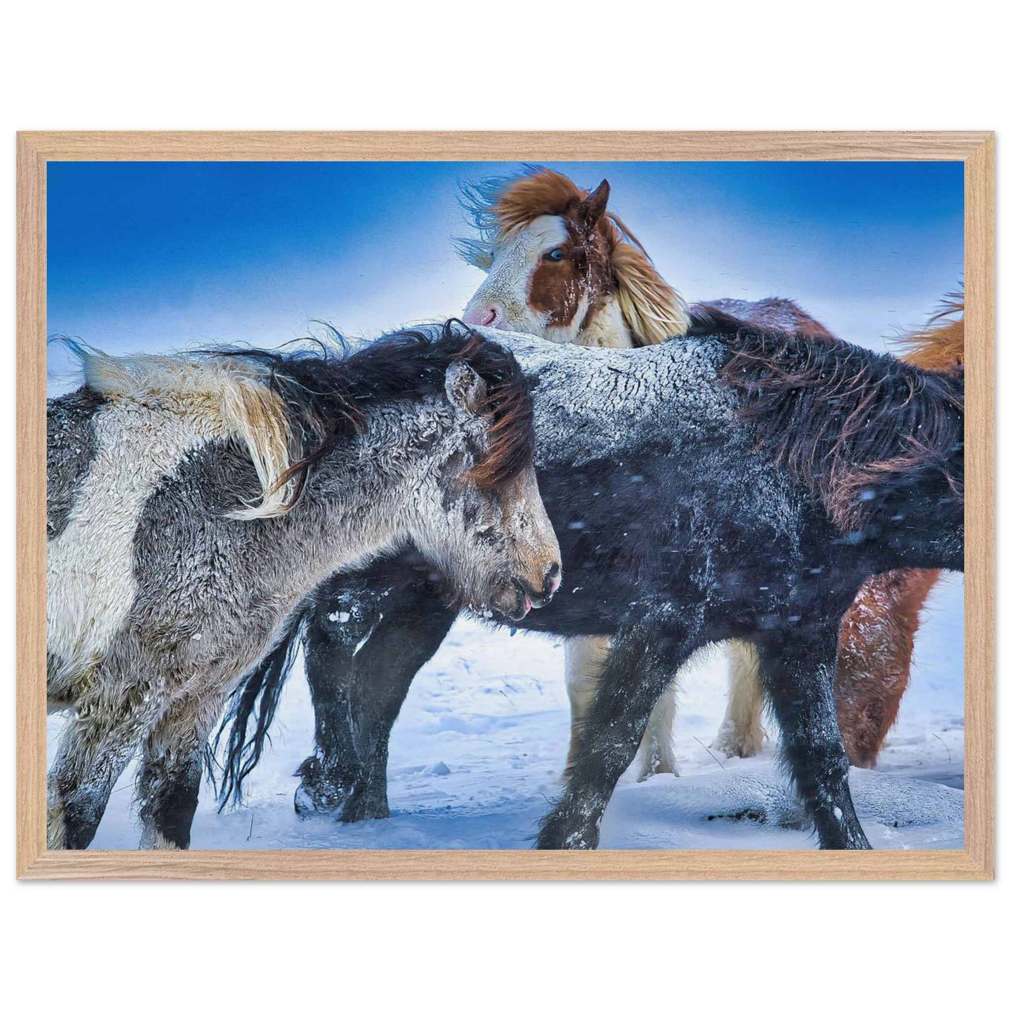 a7ba9234-6f15-4ff7-8f12-cf5b65f0b402