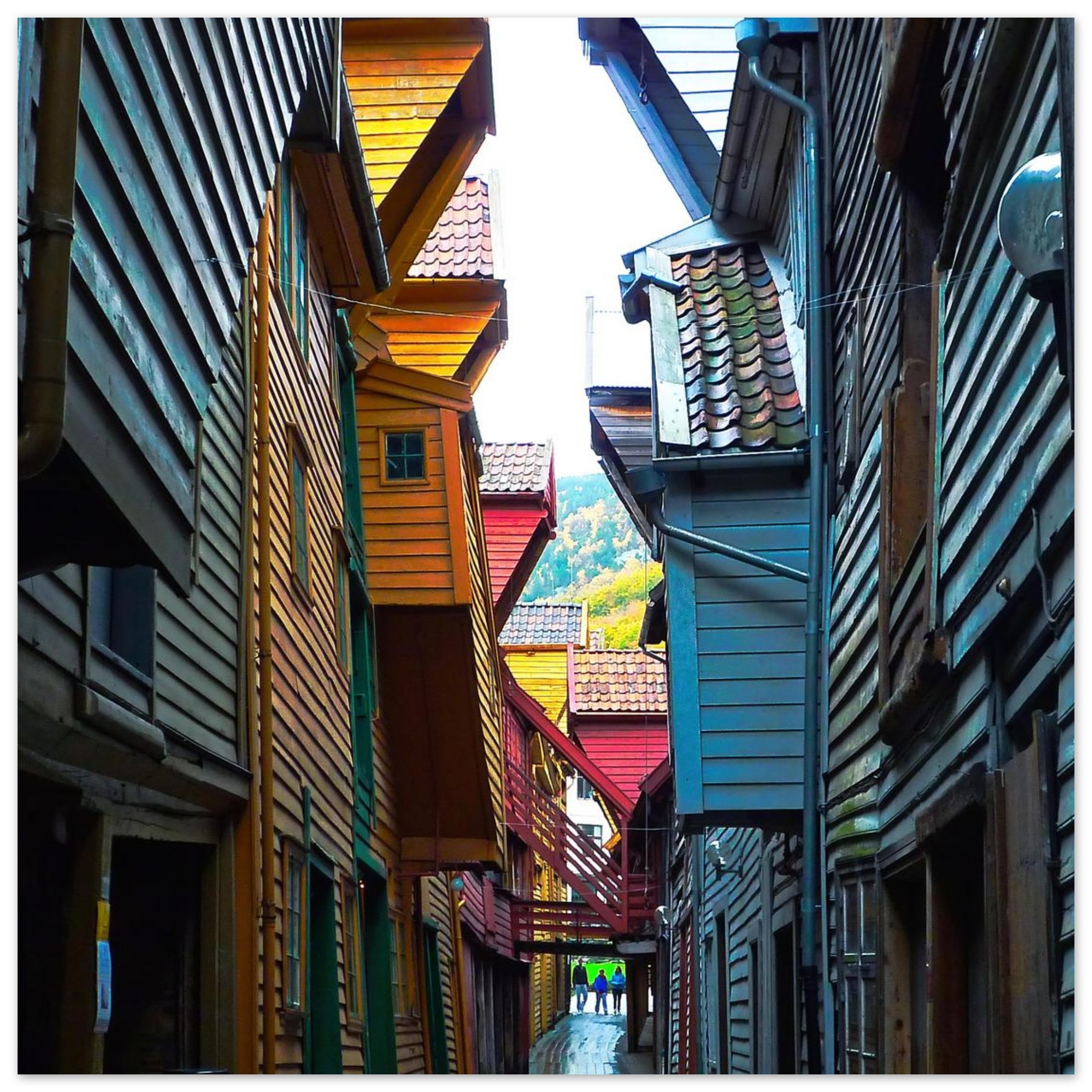 a8e16002-b71b-4e2c-99b1-66fcb4637be4