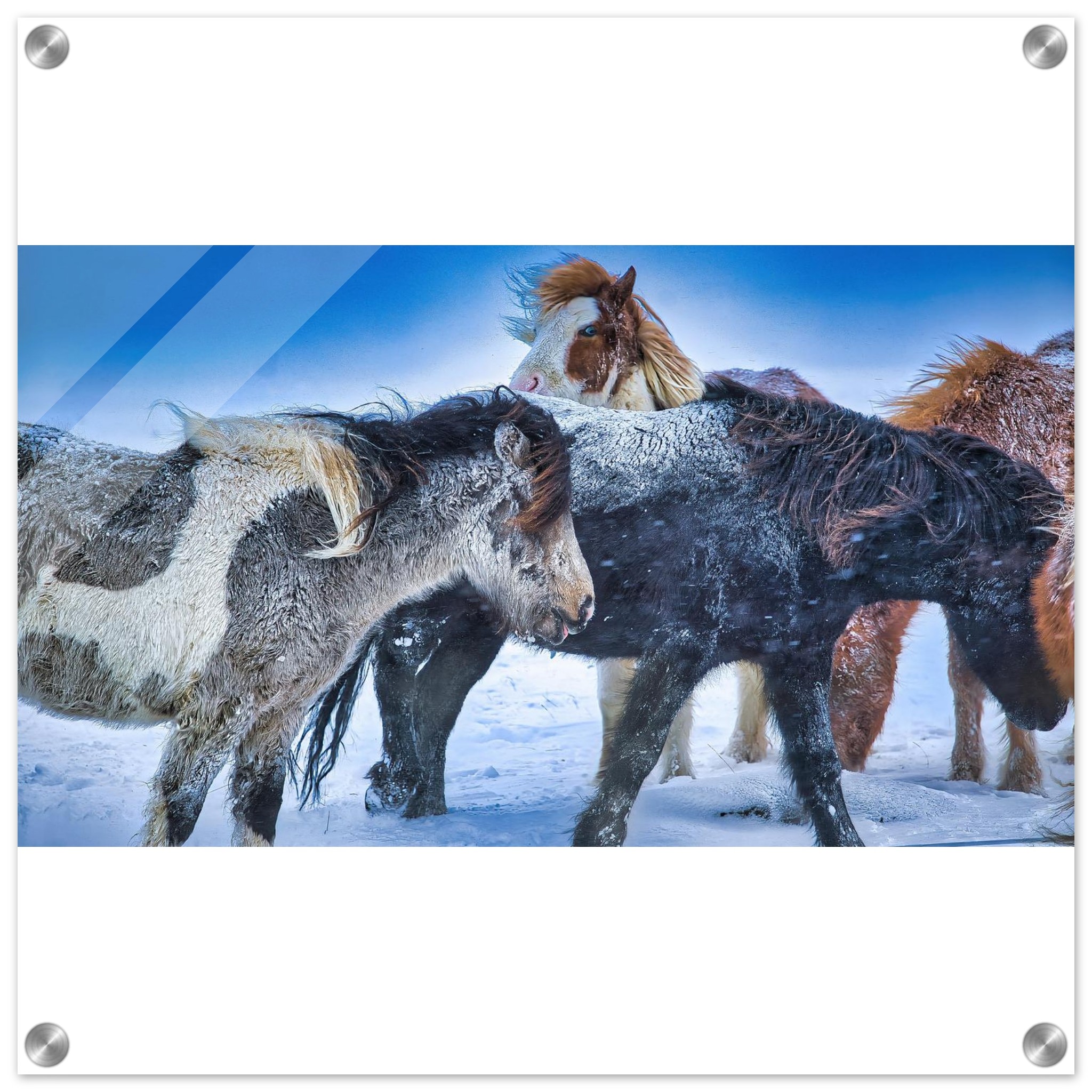 ad209096-eb95-416c-b547-94e6e566f7ff