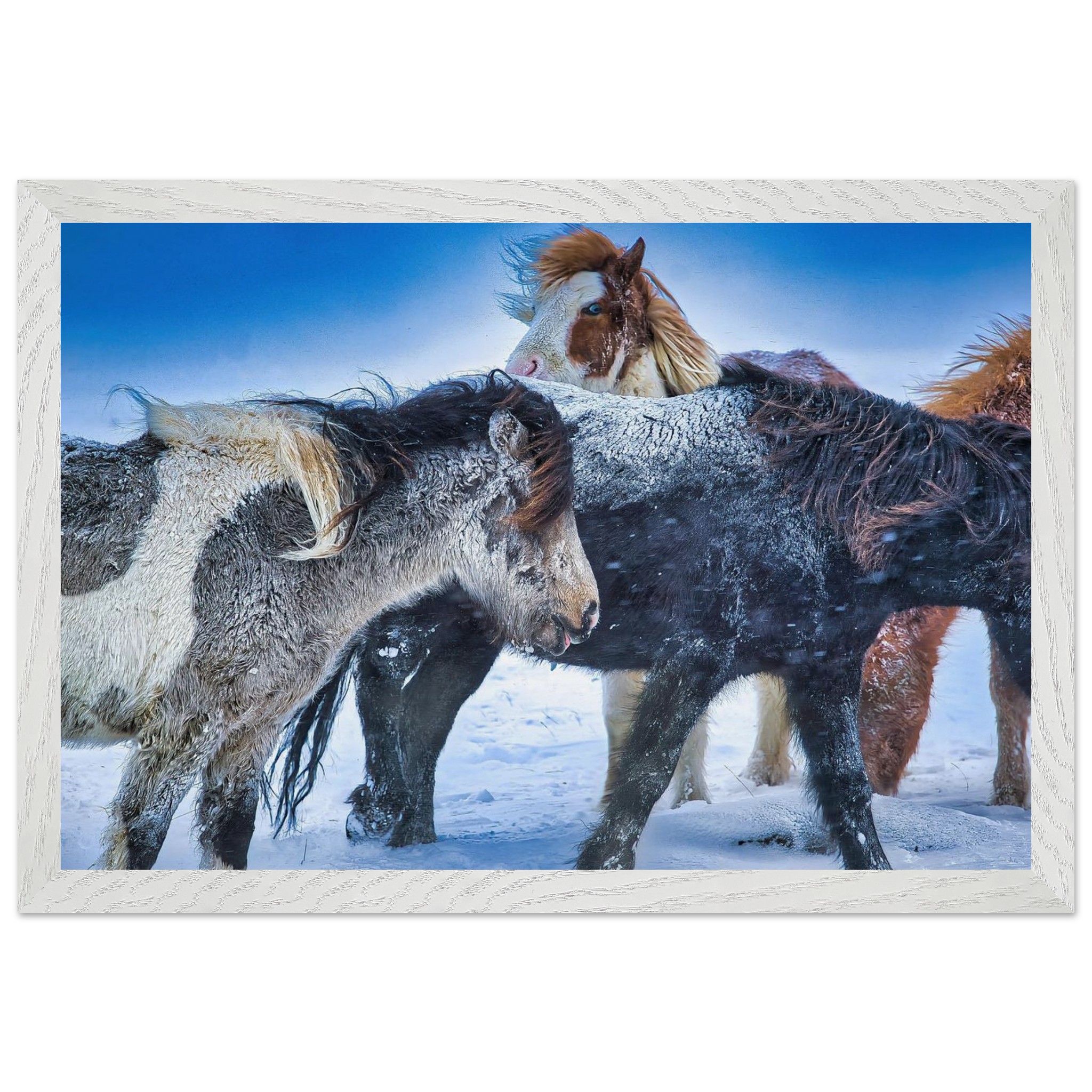 b33b3539-94ed-4653-9a7a-41946a05fa02