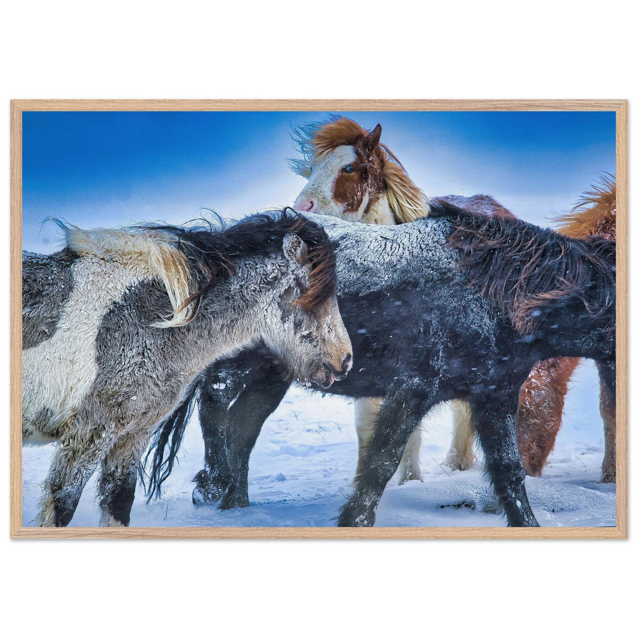 b777d199-365f-4297-b801-800f441b1181