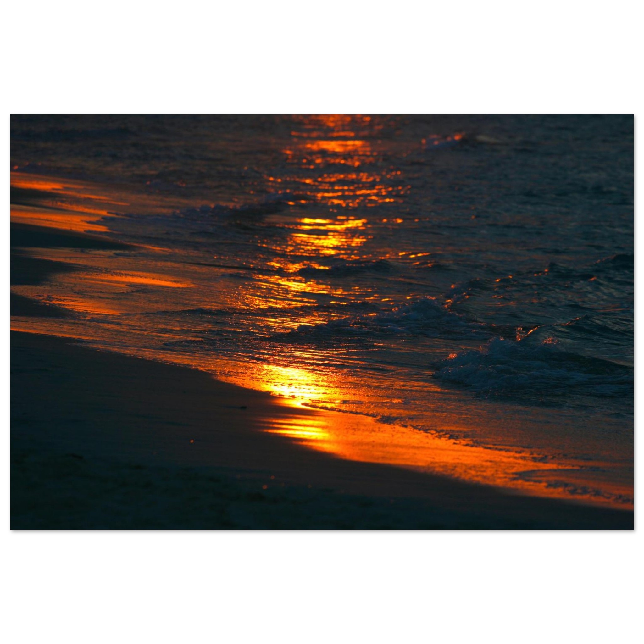 baf5b45e-9d86-4fc2-9740-29e04effd10c