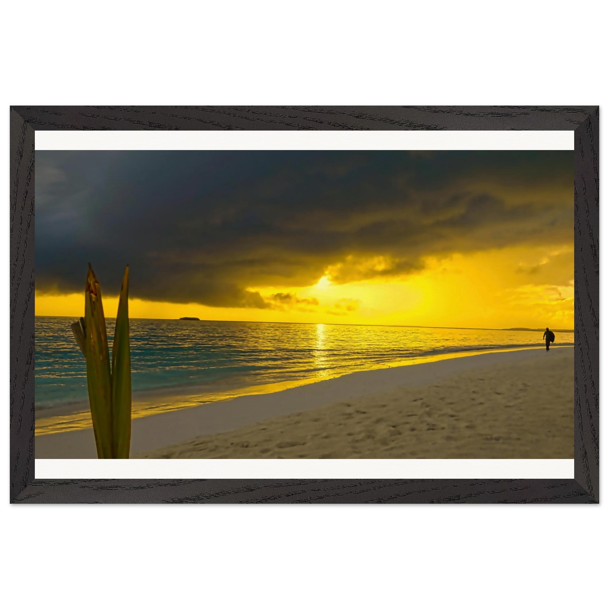 c195a92d-25f5-4030-8ae4-e0a4d0c7a3a9