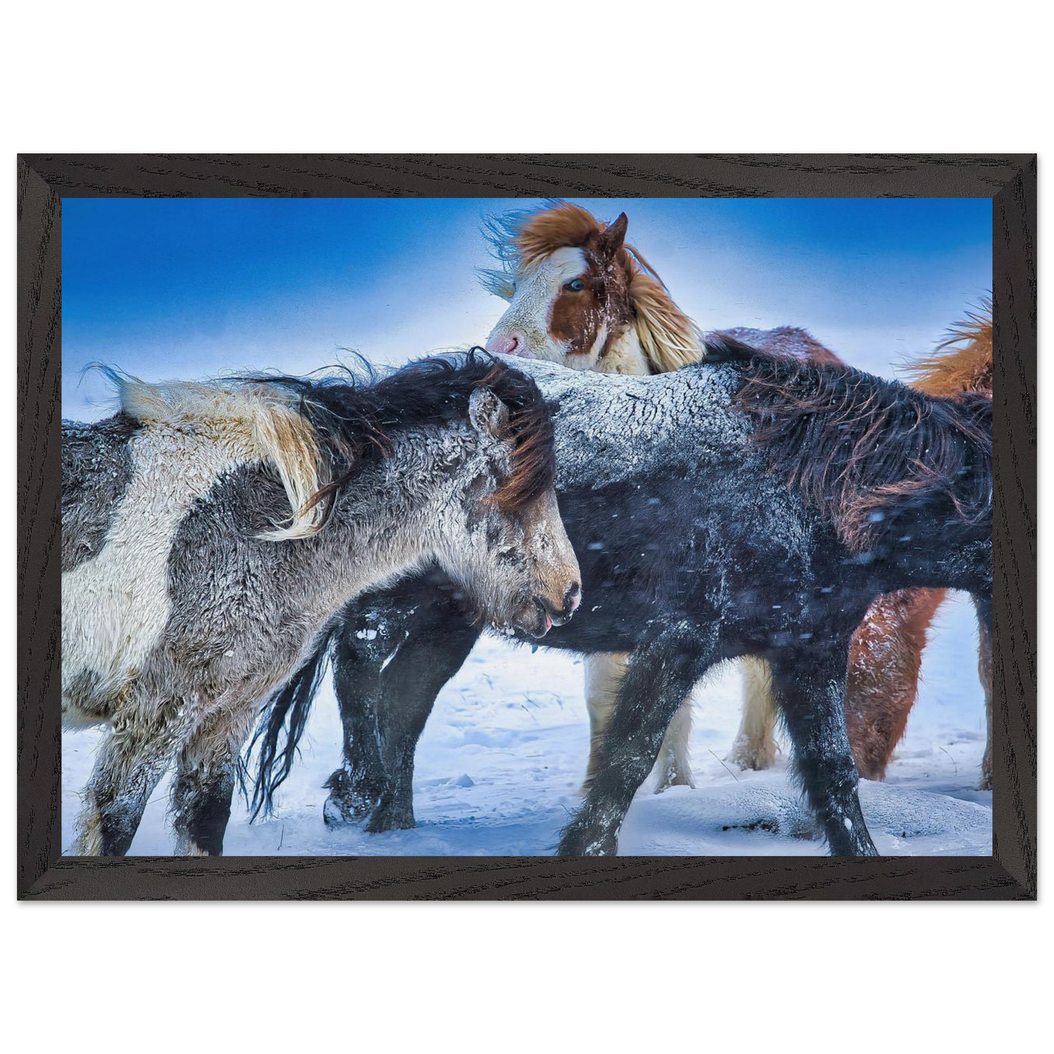 c2428bb8-31f2-4ea2-a69d-aa94616788bf