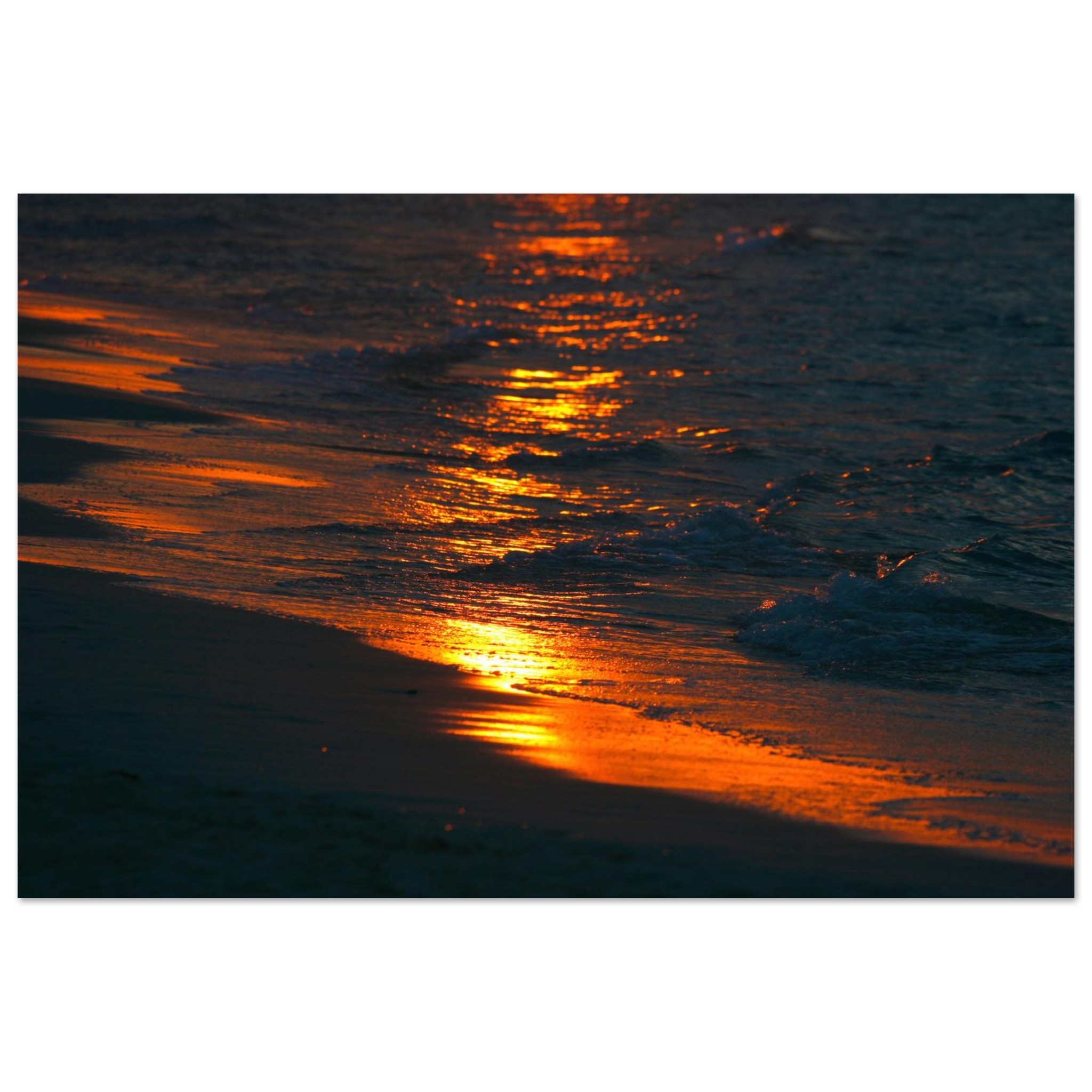 c67918a7-6419-42d1-bd9a-770ba931e8ab