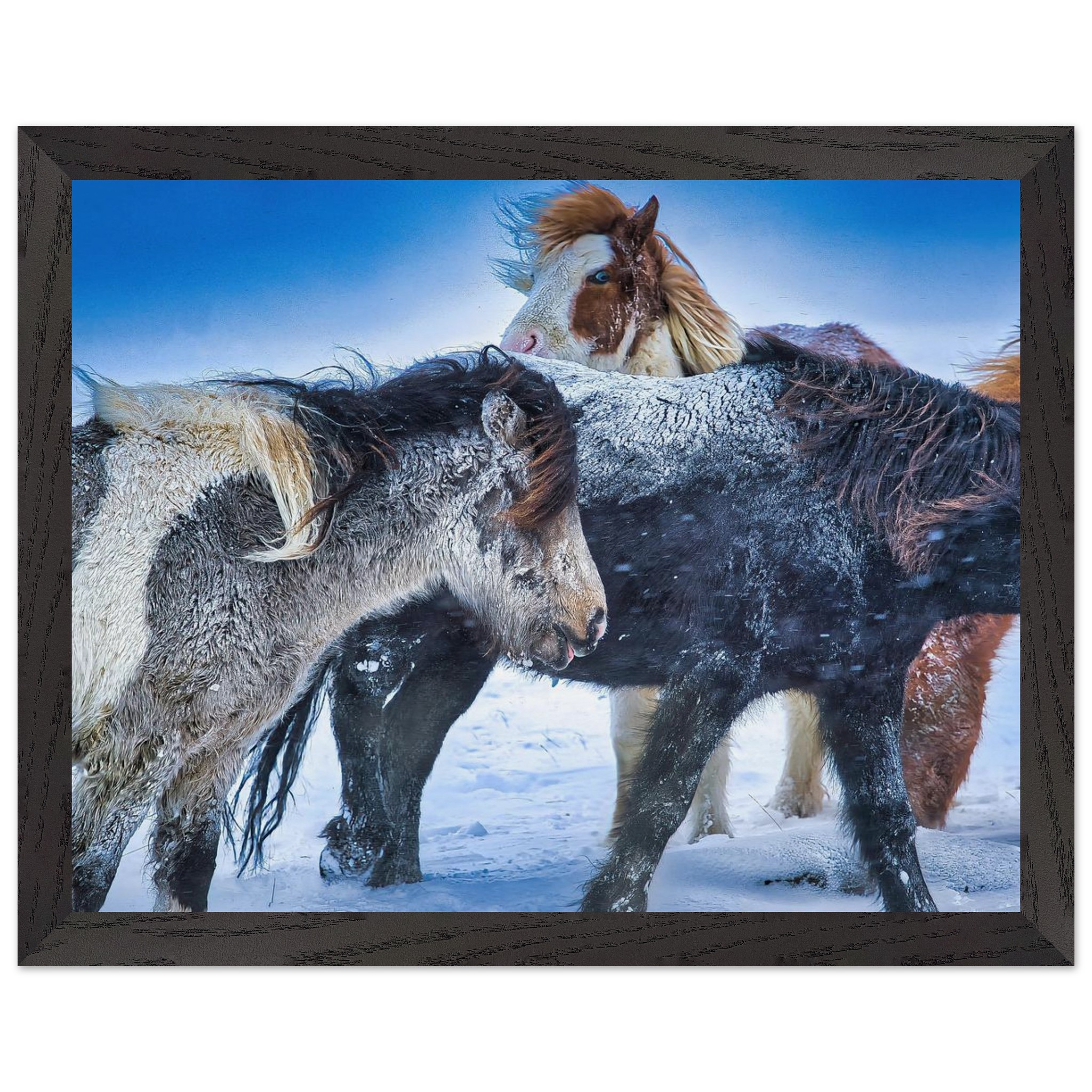 c8ee05d1-a7f4-4185-b2ca-7edf1b46285d