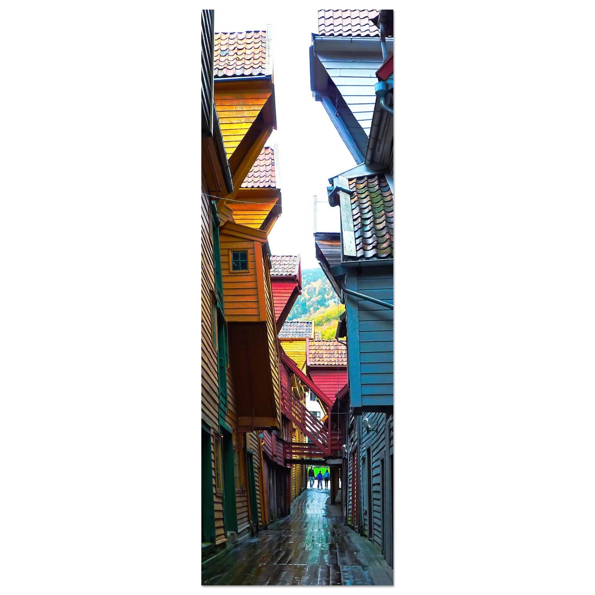 cb6e72d5-dfc8-41b6-bb98-eeb3b2d8bcf7