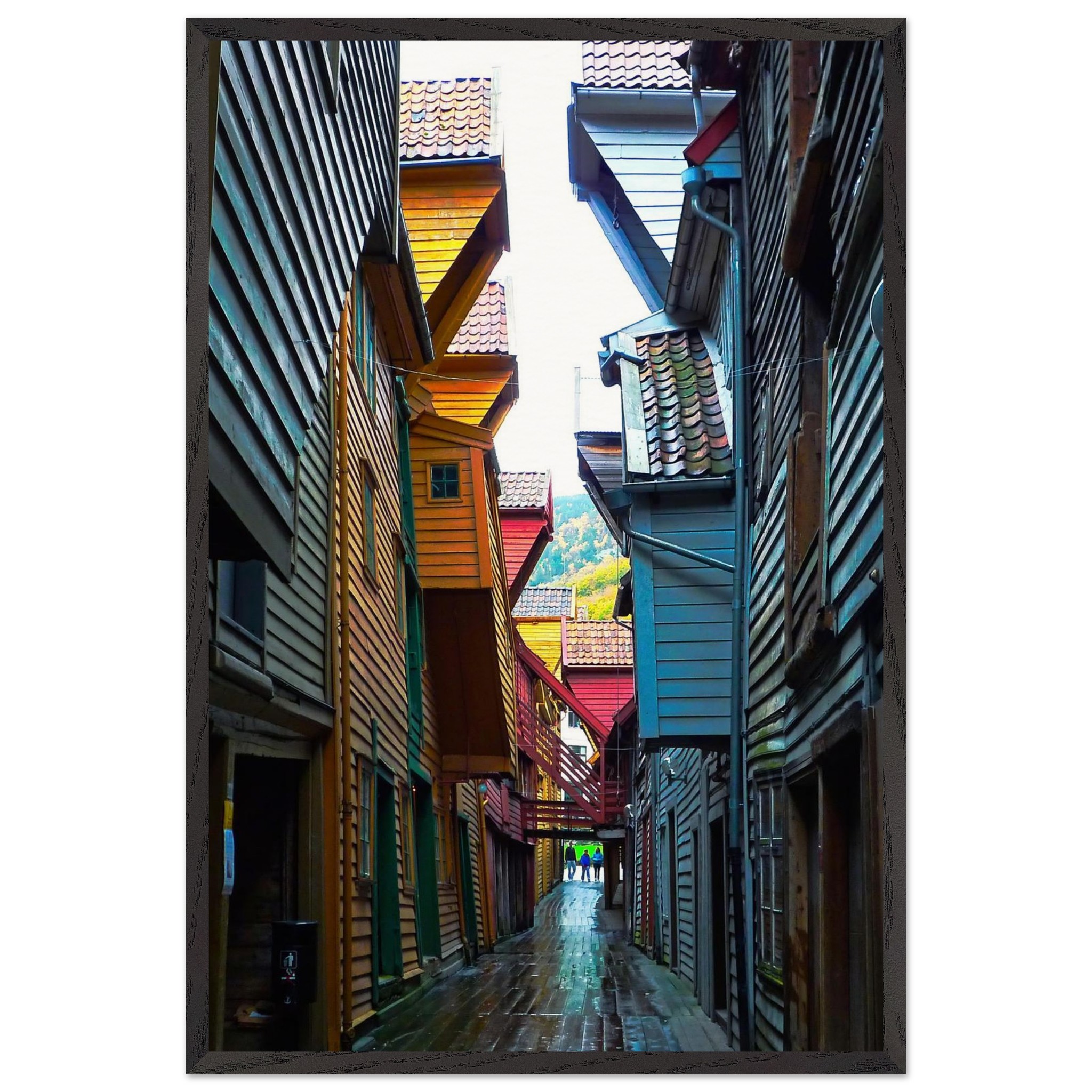 cc9e0fda-5a1d-47b3-9b9e-088a97b982fb