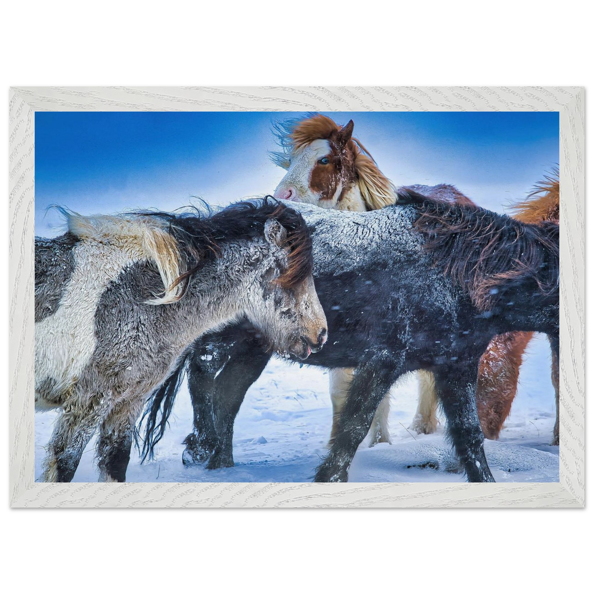 d1b641d9-fcec-4d26-89c5-5728f1ea47ba