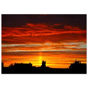 d3d1a833-3b13-4e6f-96a1-9088b60c82c2