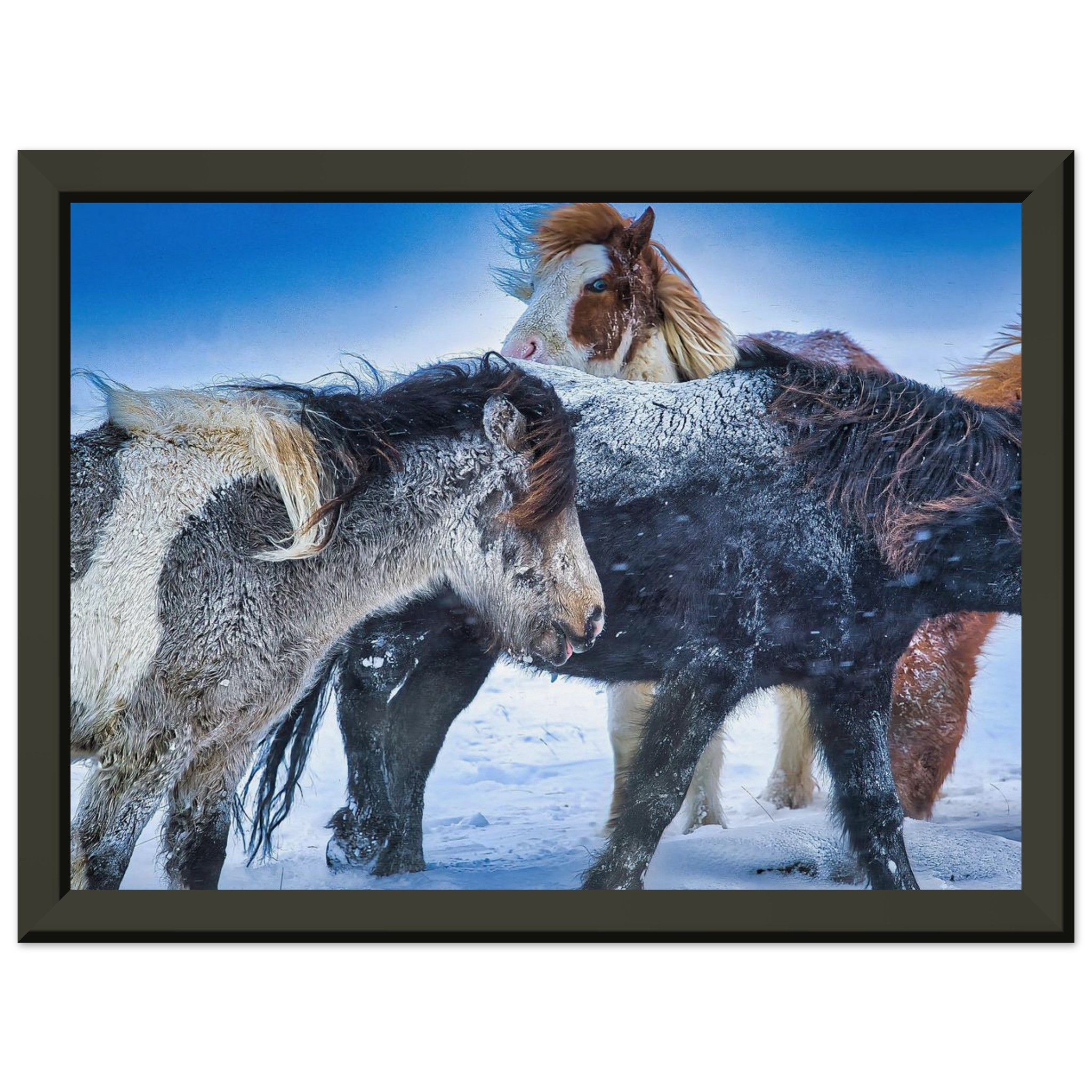 d645a648-2155-4dae-9a88-e1024db3cf70