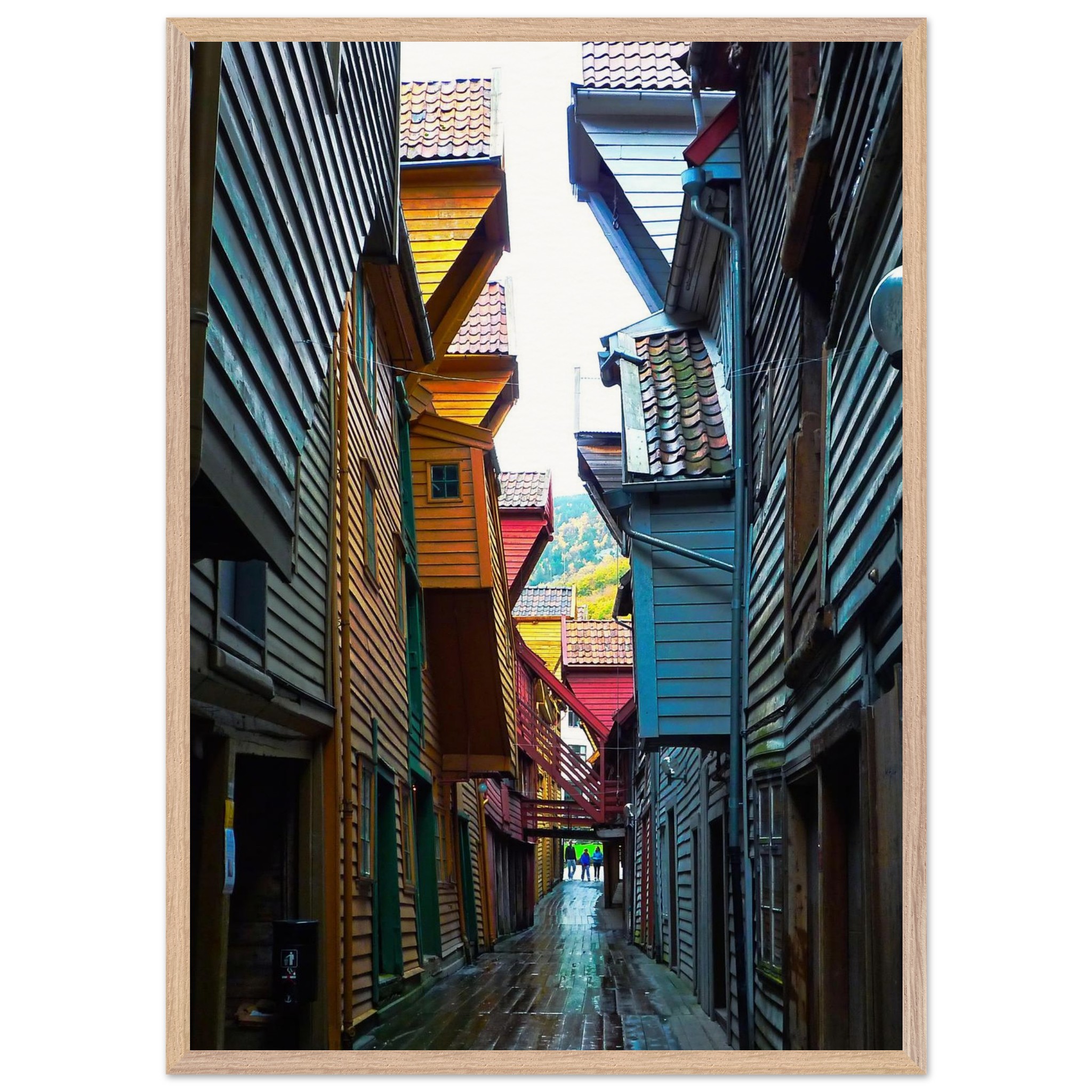 d930e72b-0863-46c3-ac50-3753ed9060f2