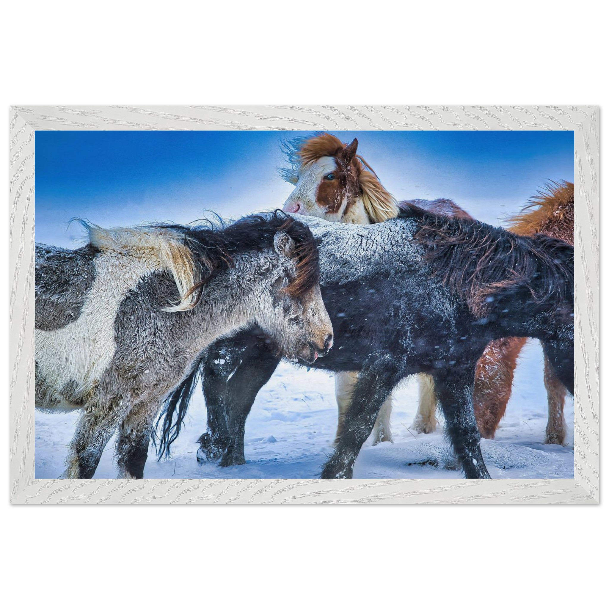 dbef1d97-2c3d-4ff0-ab3a-87bf43f47cd0