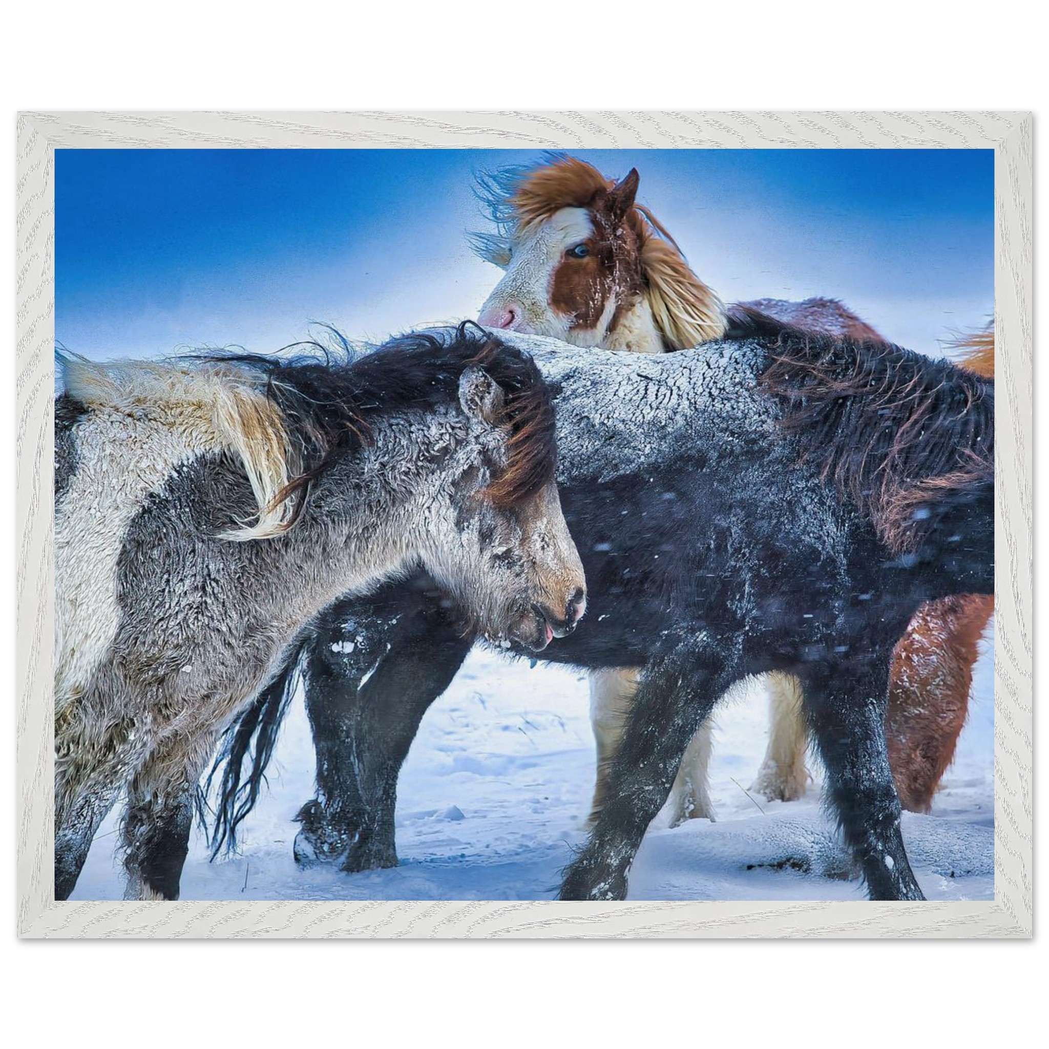 ddfb03d5-09d4-447f-956d-75273e782cb7