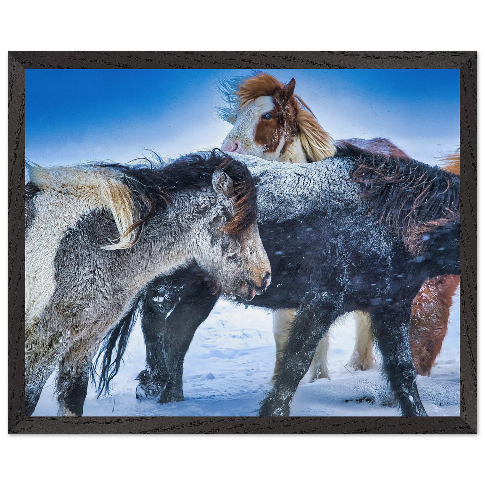 ded1c64c-778b-48ef-ae1d-4beaf9470be1