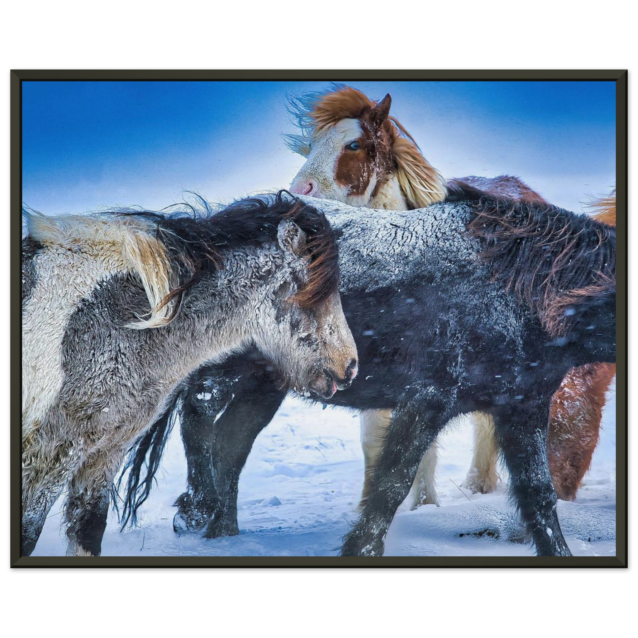 e7fcd1e0-3aab-41ea-bb85-fba48b75bce7