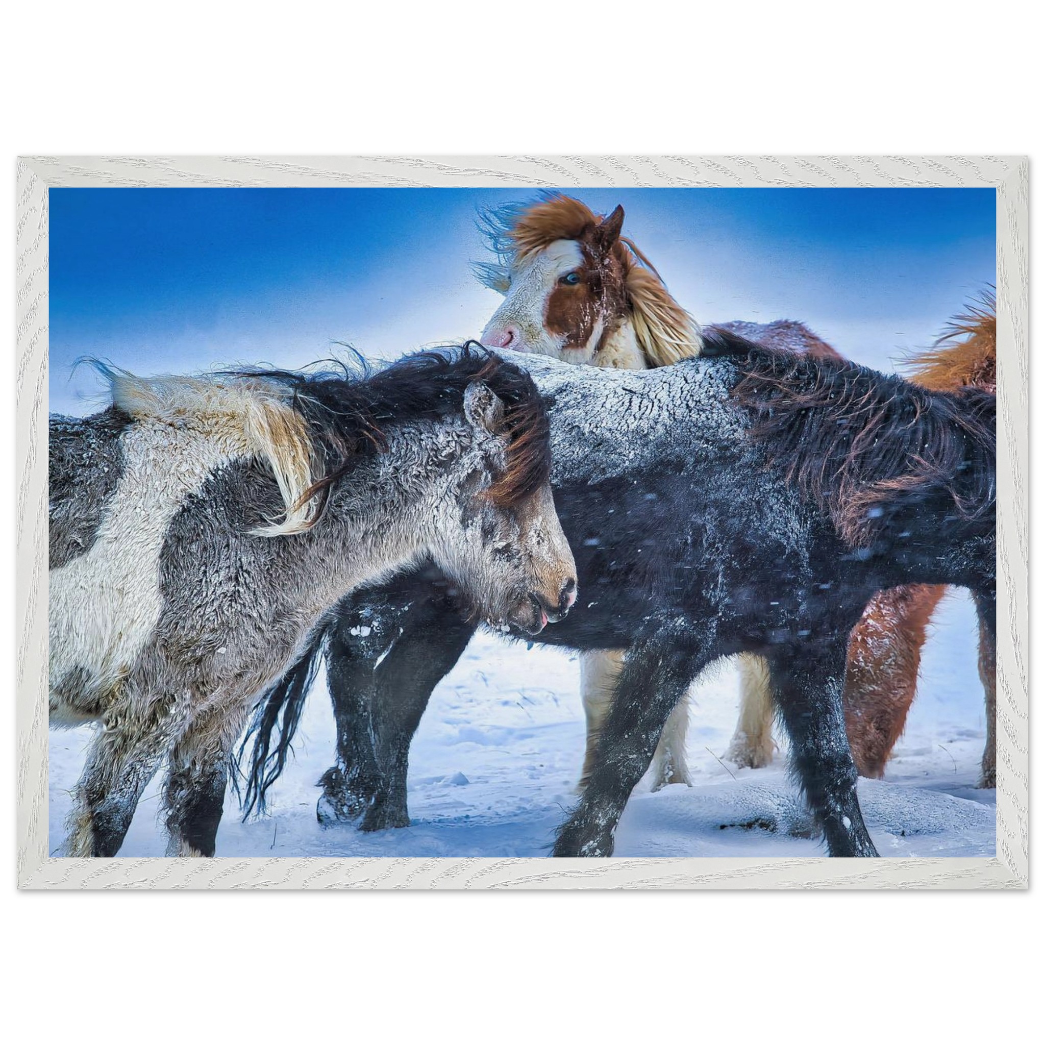 e8003c46-95c3-4d9c-9672-02d7ac646160