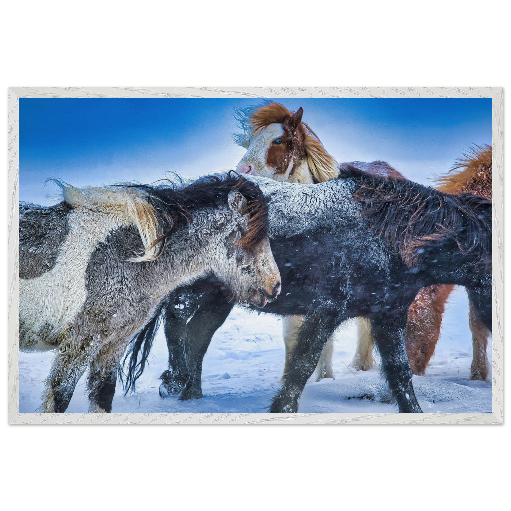 e85231ad-bc83-48c0-a62c-4916e0a1f551