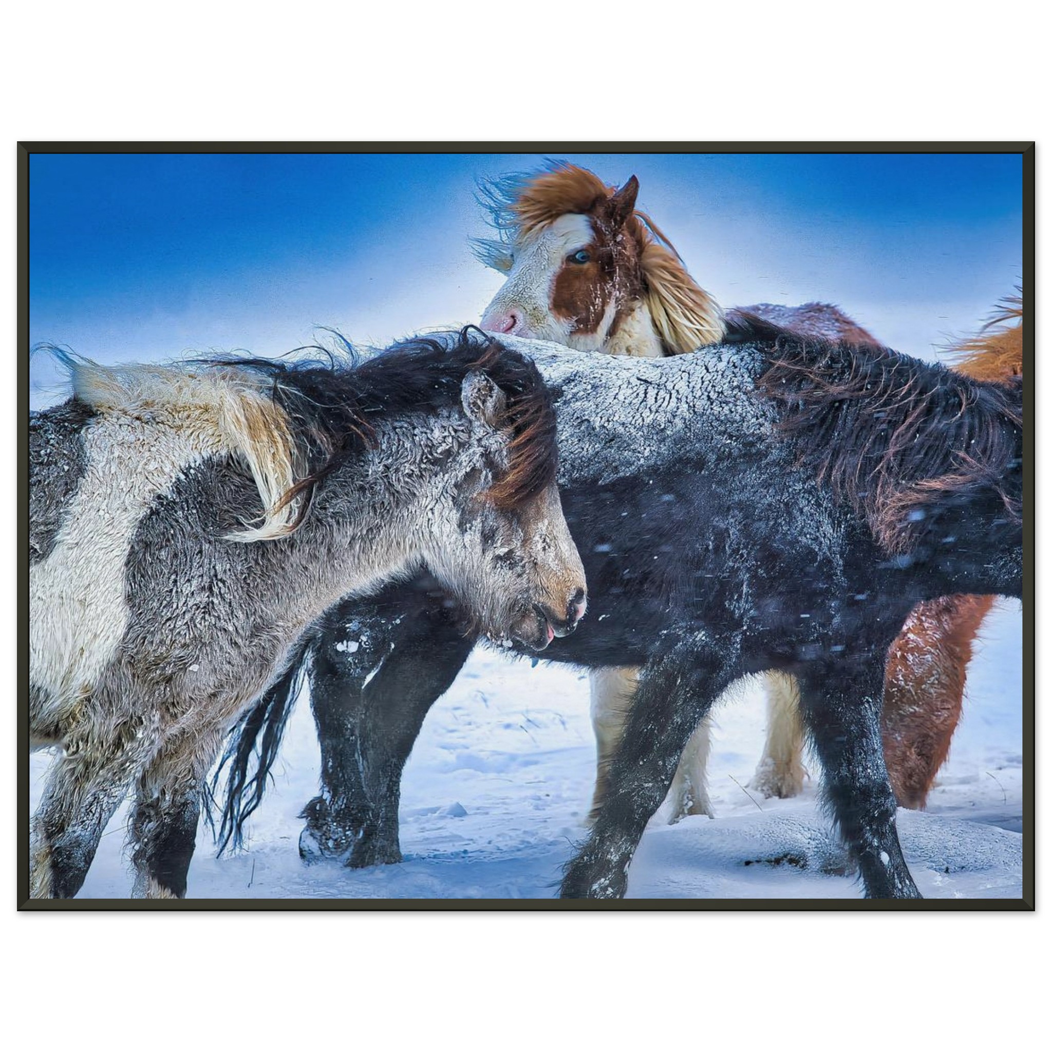 eb3cba17-7799-4dff-926b-3bed9a7959a2