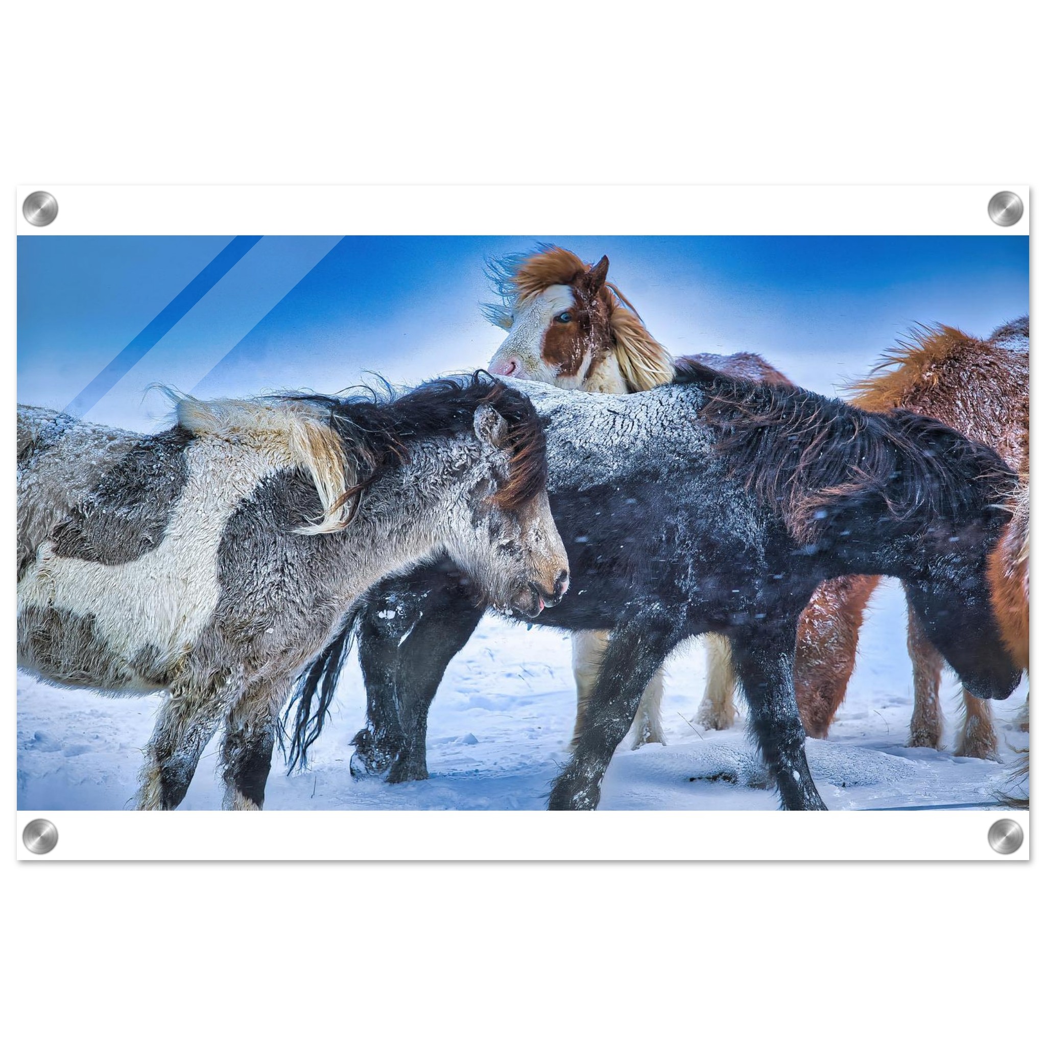 ee16ae7b-acc1-40ac-b0aa-baa752de871a