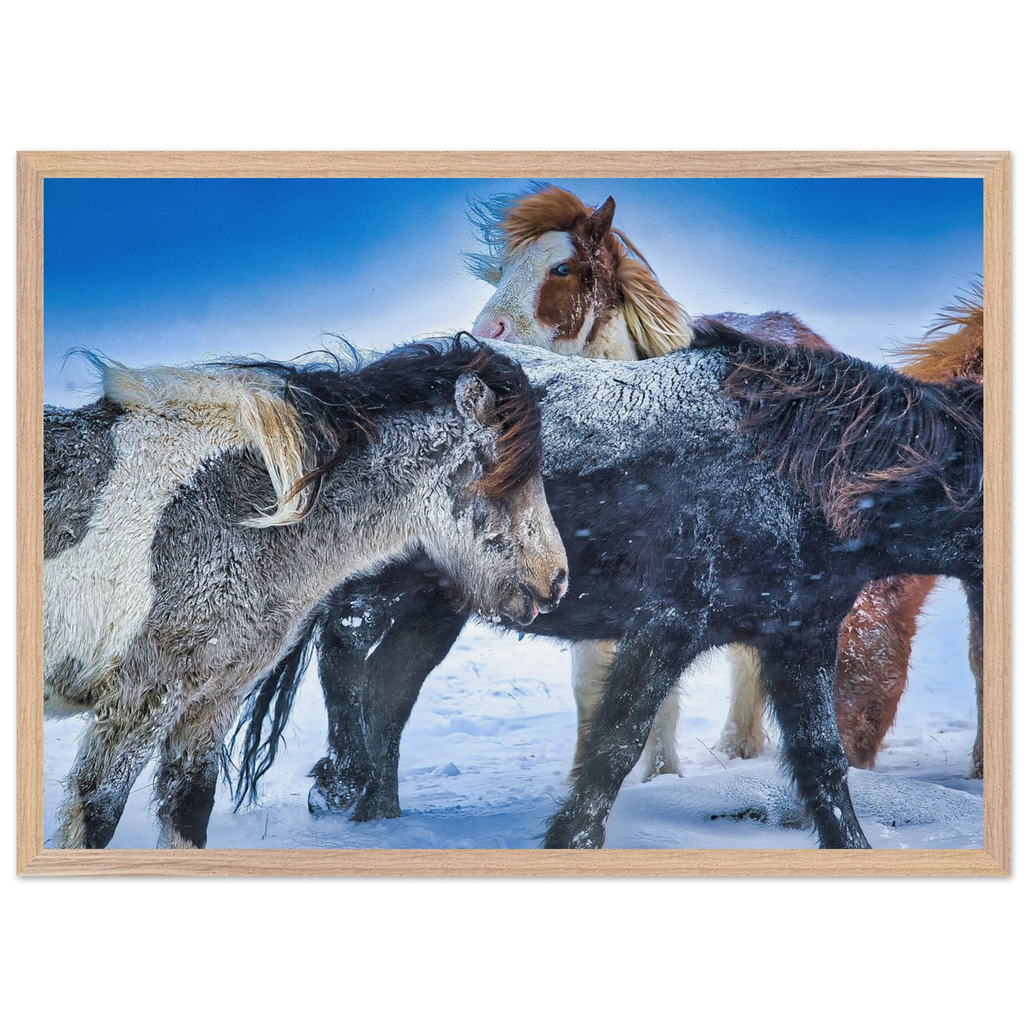 ef2861fd-f911-4e9a-ab74-c544d1721b37