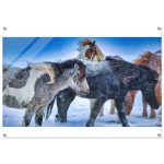 f165ad2f-d683-46b7-8ddb-181483c302ed