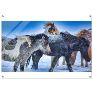 f165ad2f-d683-46b7-8ddb-181483c302ed